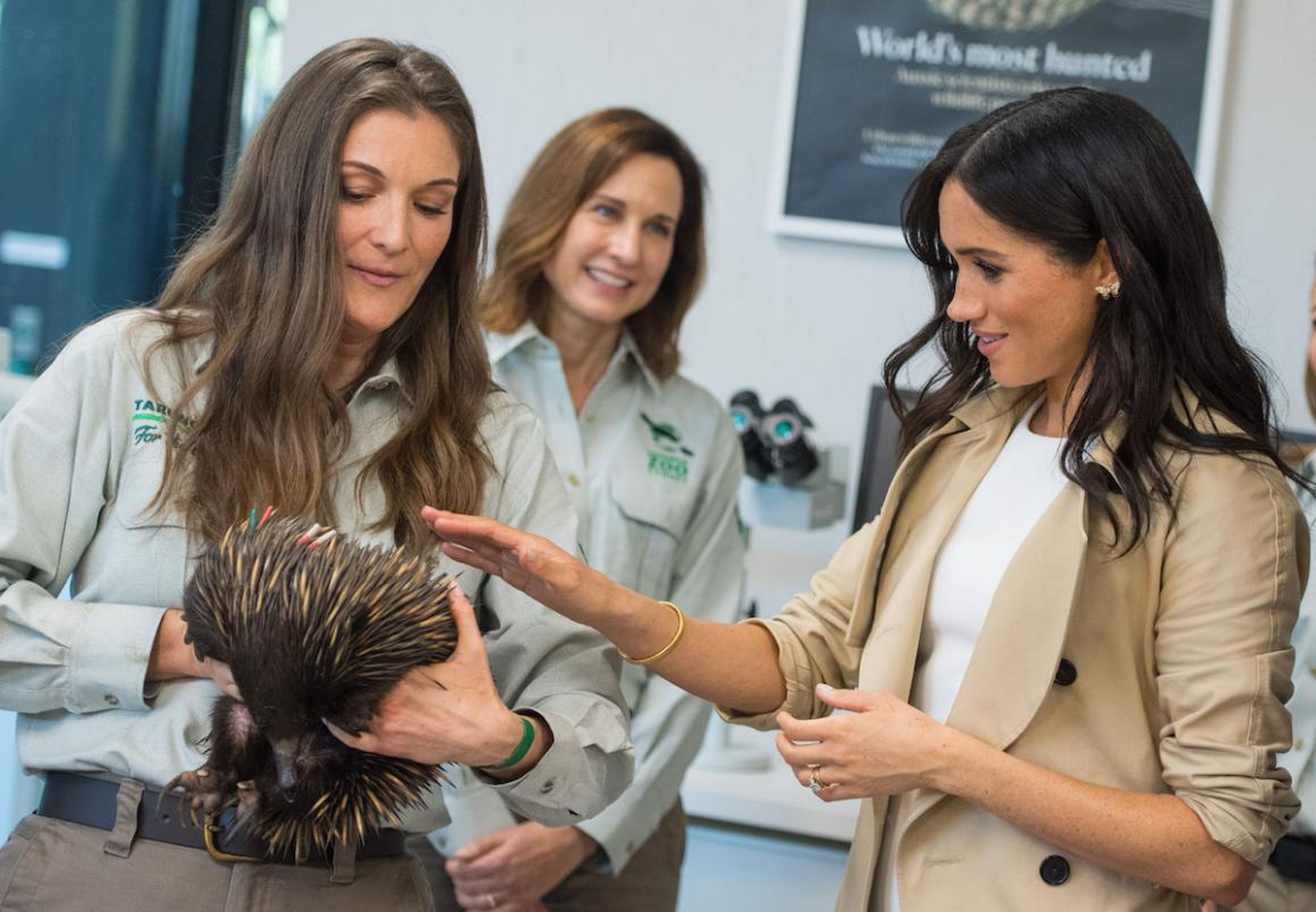 You're forced to put on a brave face when meeting new prickly creatures.