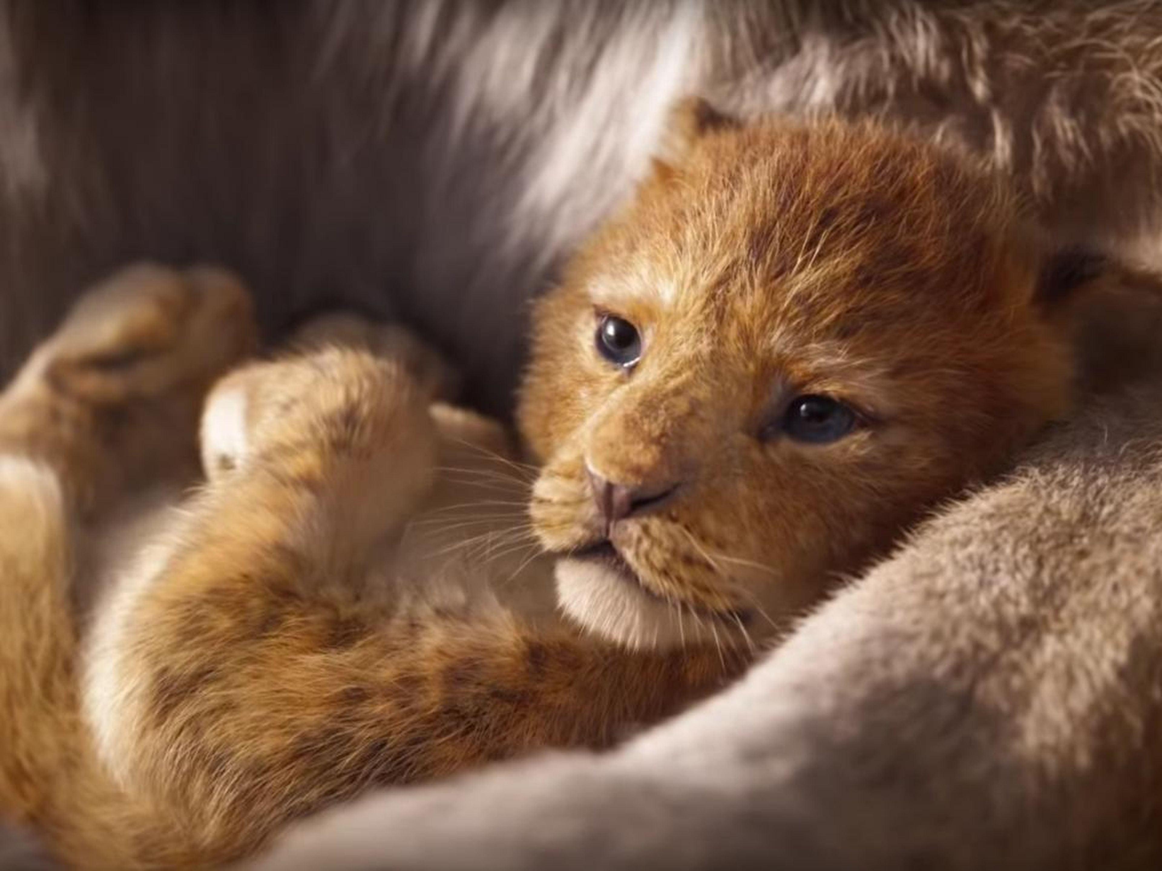 We're already in love with little Simba. "Atlanta's" Donald Glover will voice the adult version of the lion cub.