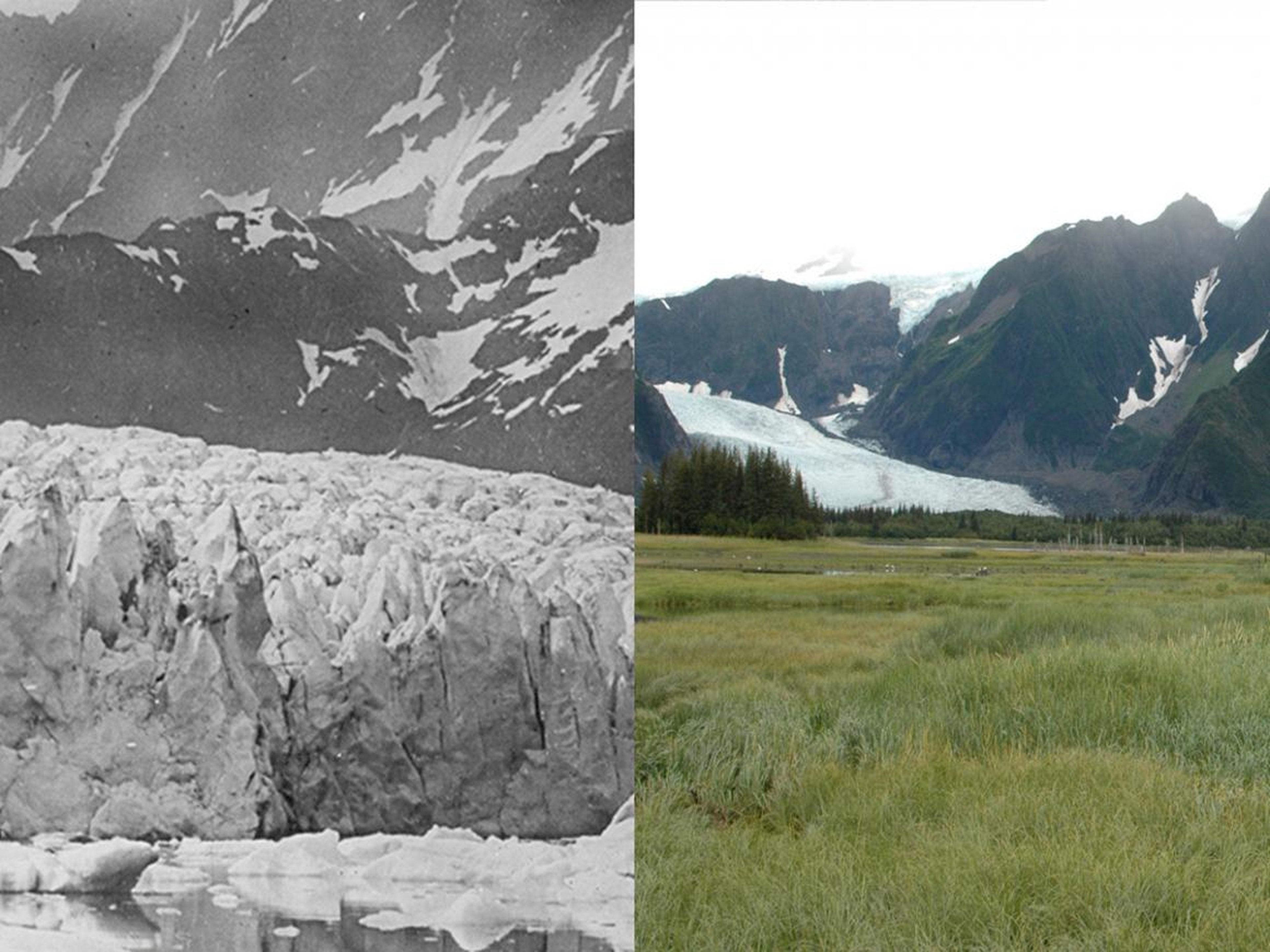 The retreat of Alaska's Pedersen Glacier.
