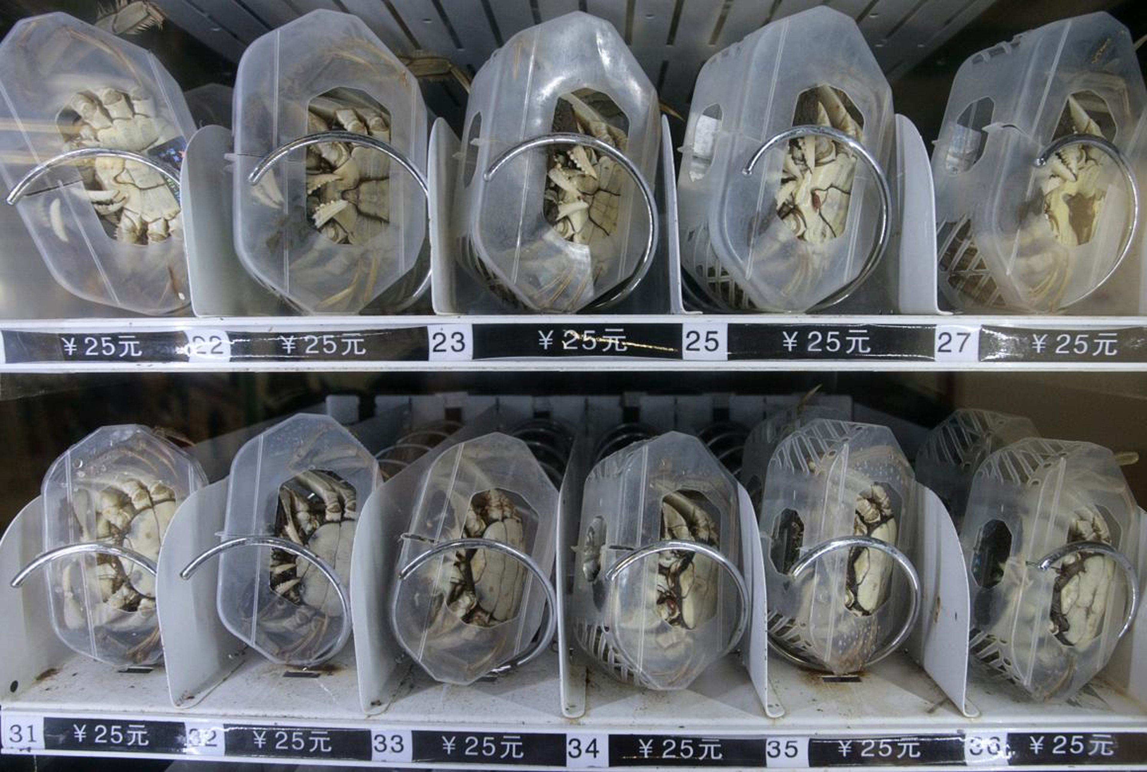 There's special packaging used to preserve the crabs.