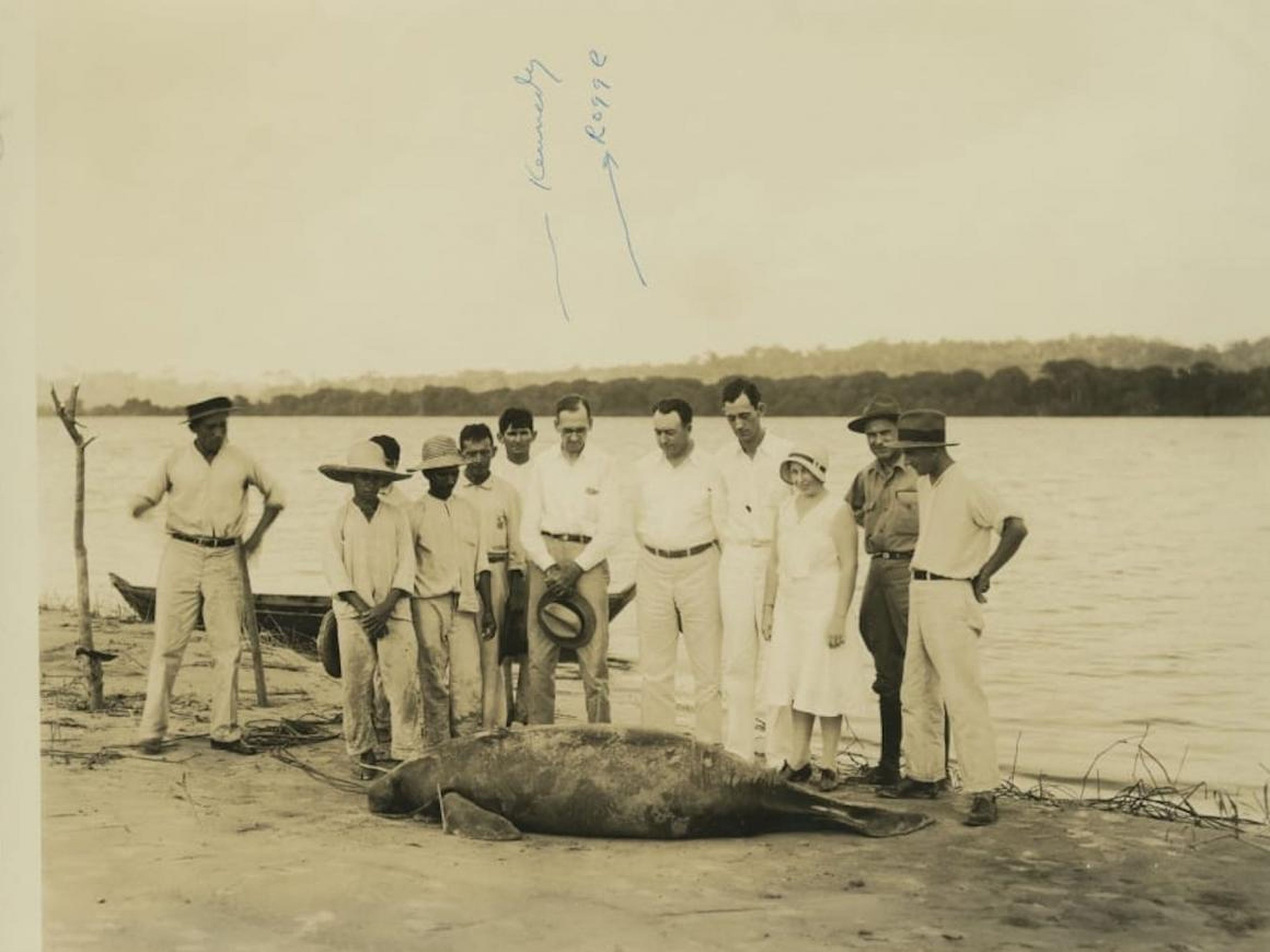 Fordlandia managers and workers standing over a sea cow, or manatee, that washed up on shore.