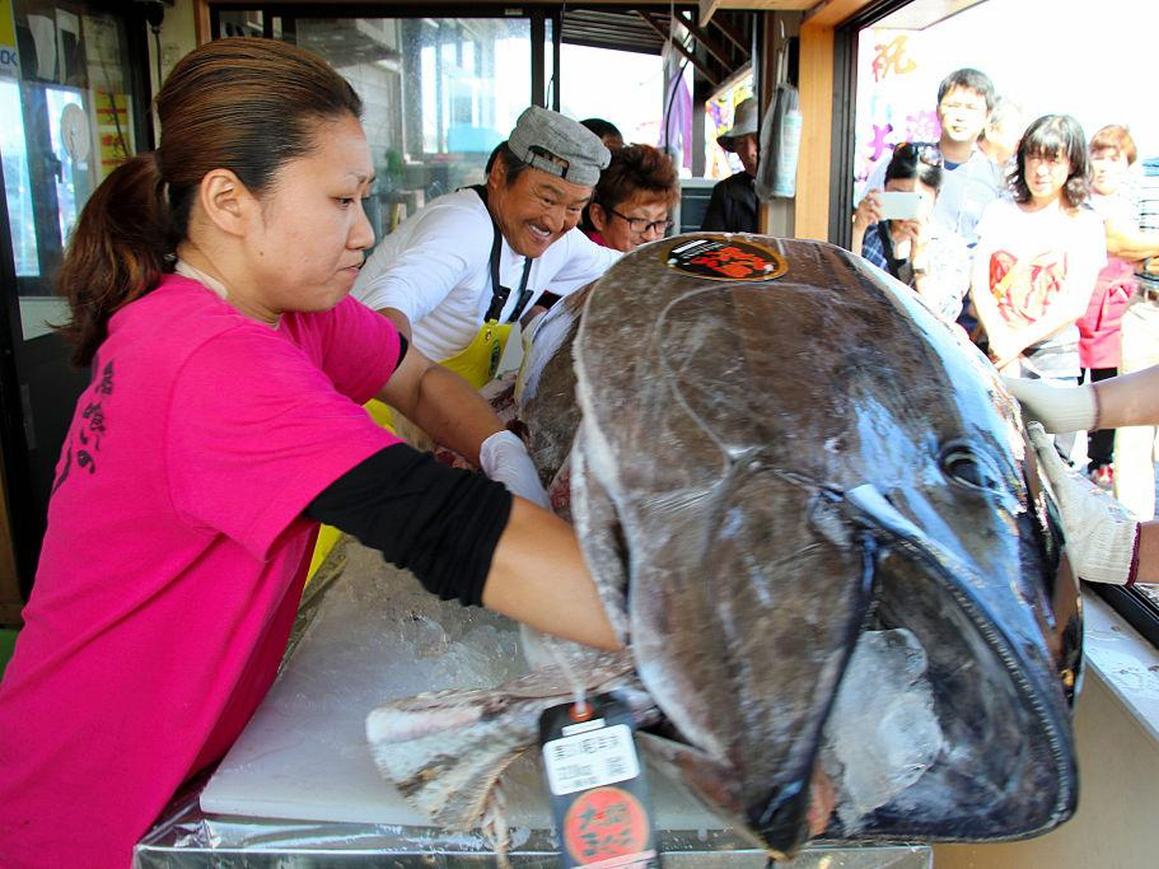 People in Aomori have the chance to eat the outrageously expensive bluefin tuna at the annual Oma Super Tuna Festival in October.