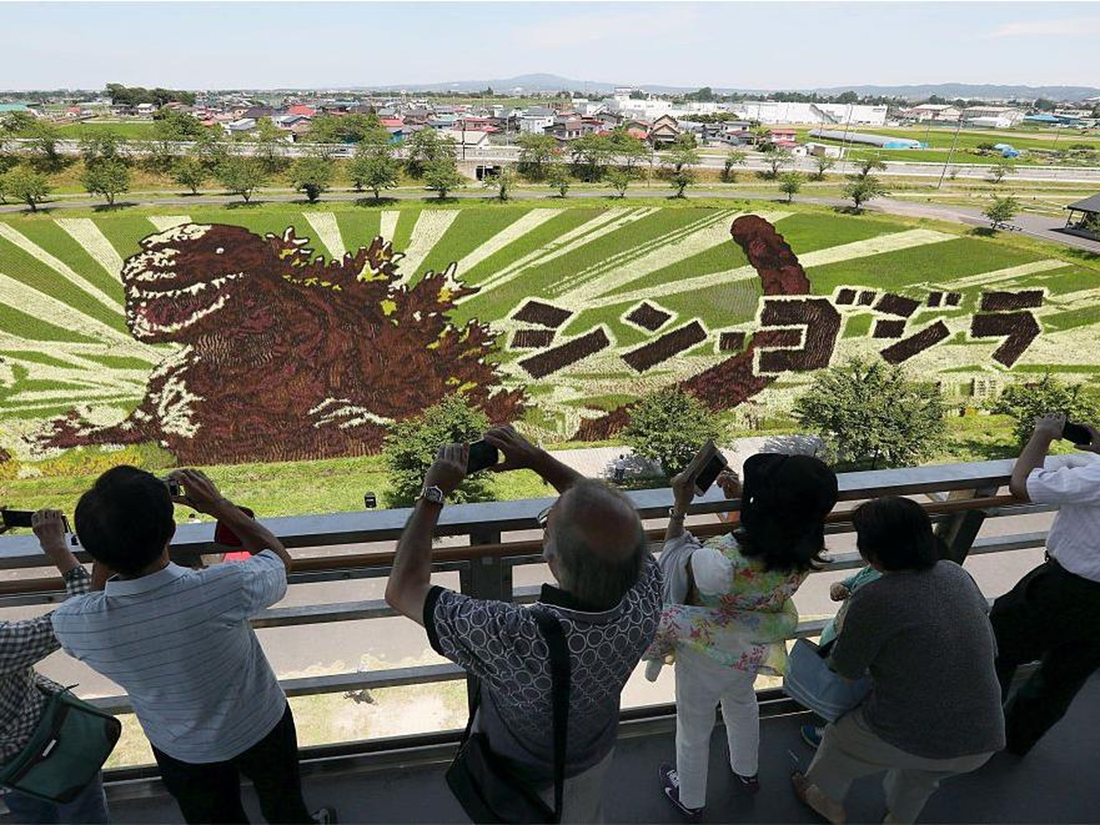 Rice paddy art combines the city's emphasis on agriculture and love of art into something everyone can experience.
