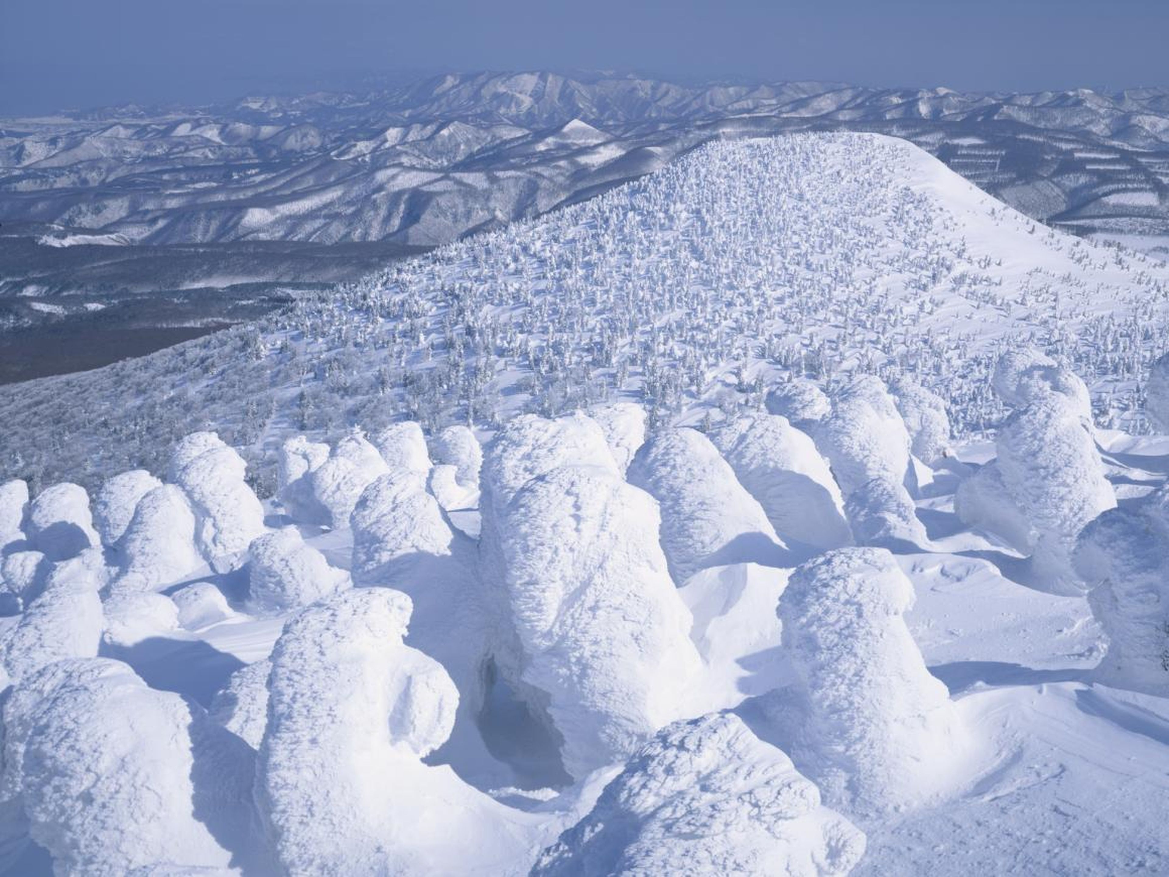 There are also trees all along the nearby Hakkoda mountains that get buried in snow and ice throughout the winter that have come to be known as "silver frost sculptures" or "snow monsters."
