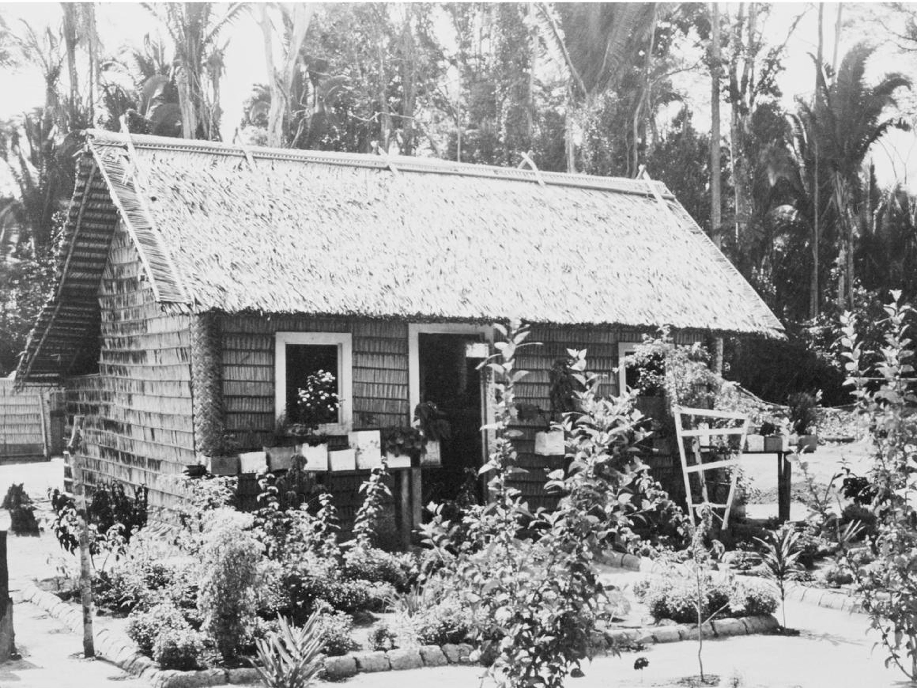 A cottage in Fordlandia.