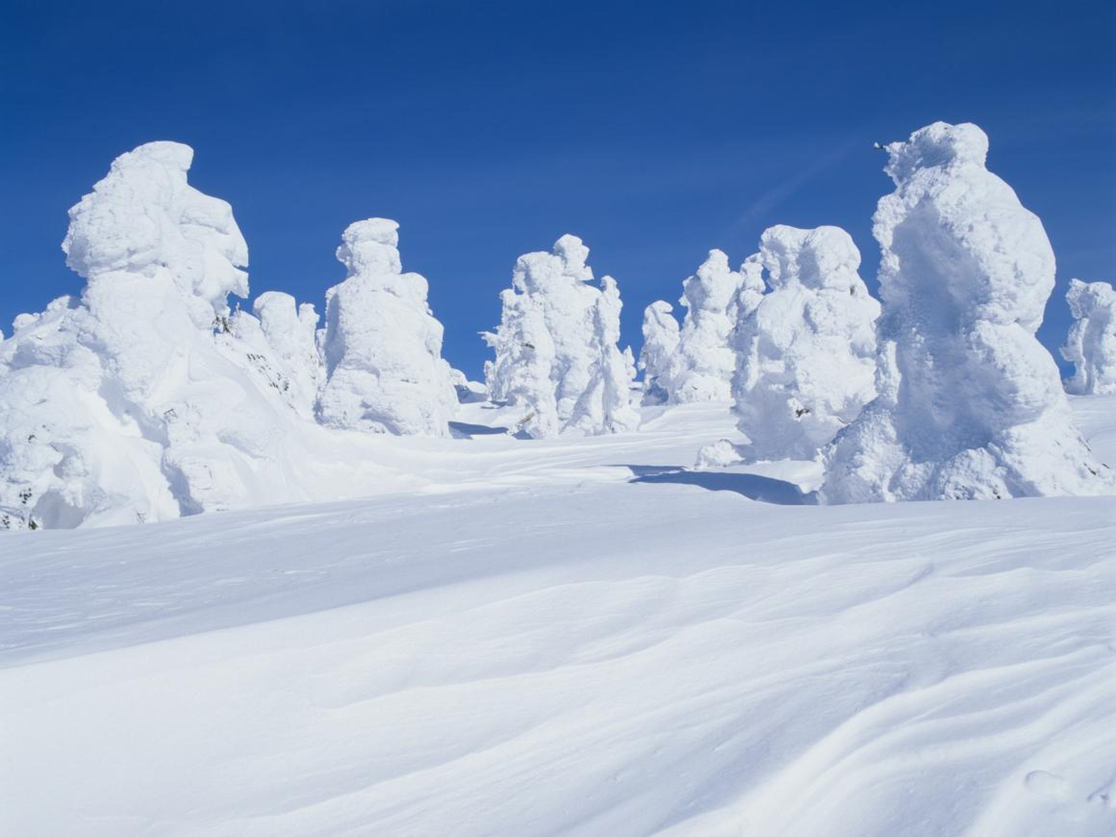 Visitors can take a cable car up the mountain and either ski or snowboard down, or take a walking tour through the giant, white, monster-looking snow-mounds.