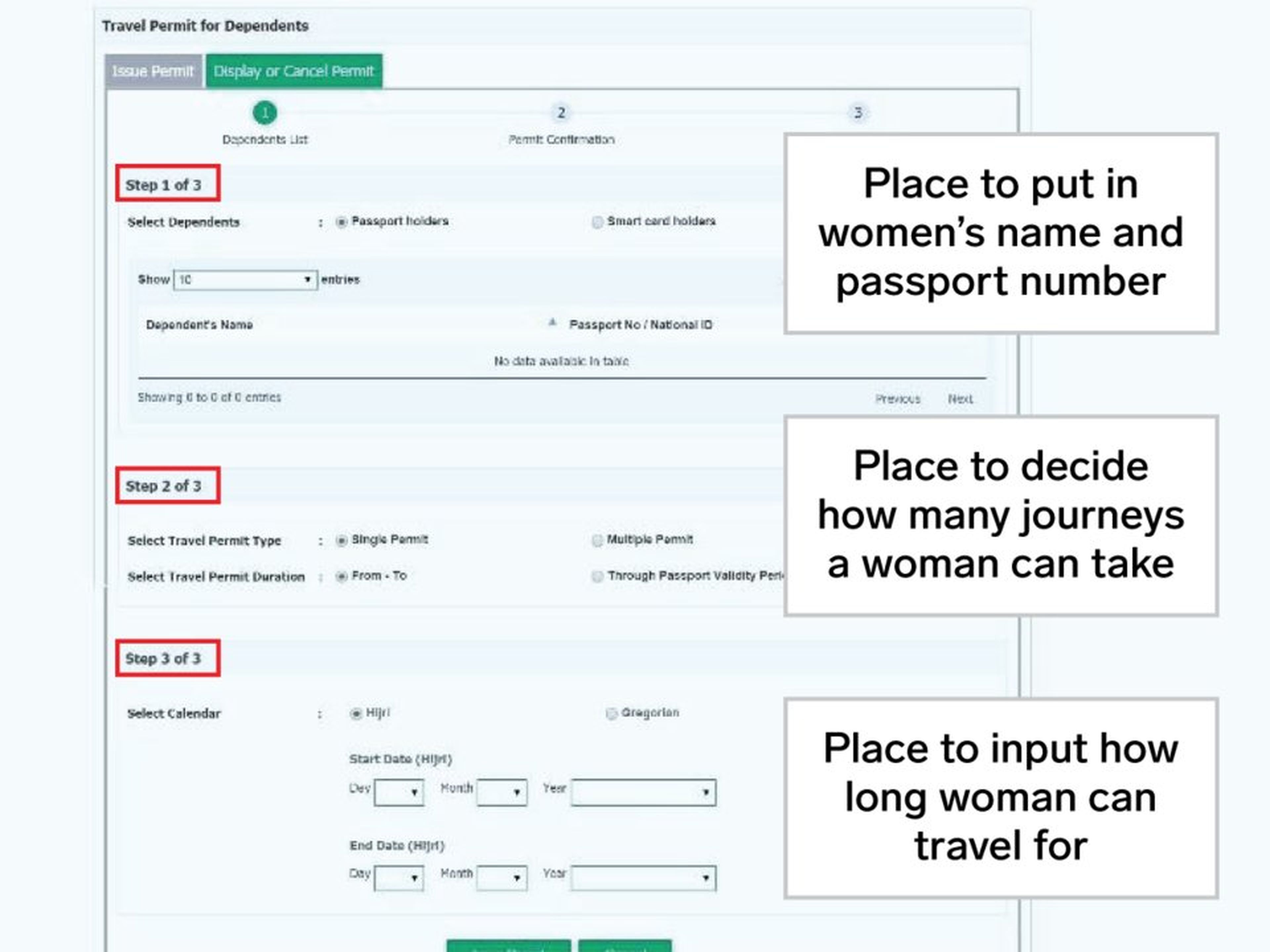 A través de este formulario, los tutores pueden introducir dónde pueden ir las mujeres, durante cuánto tiempo y a qué aeropuertos.