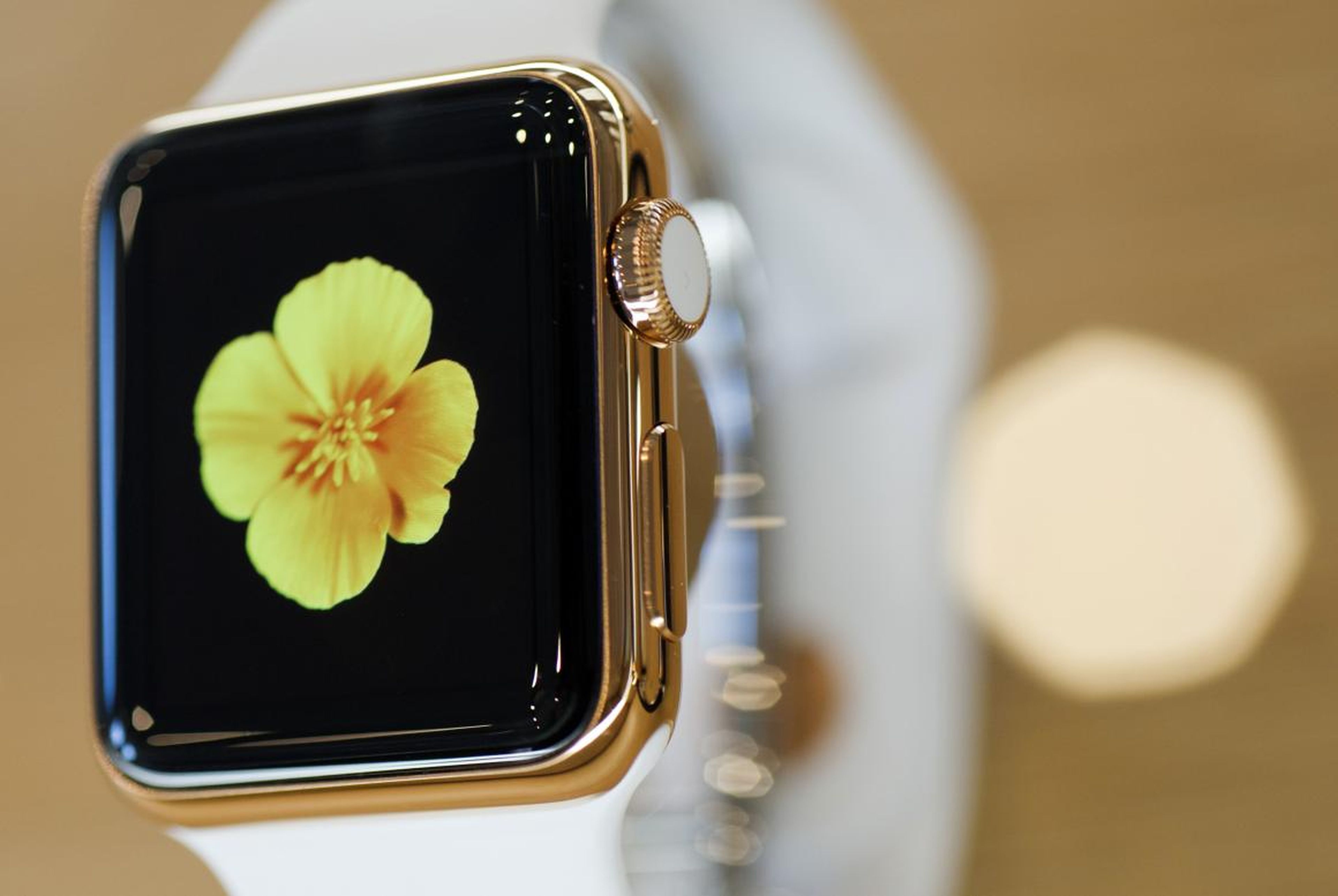 2. Apple Watch Edition (2015) — $17,000