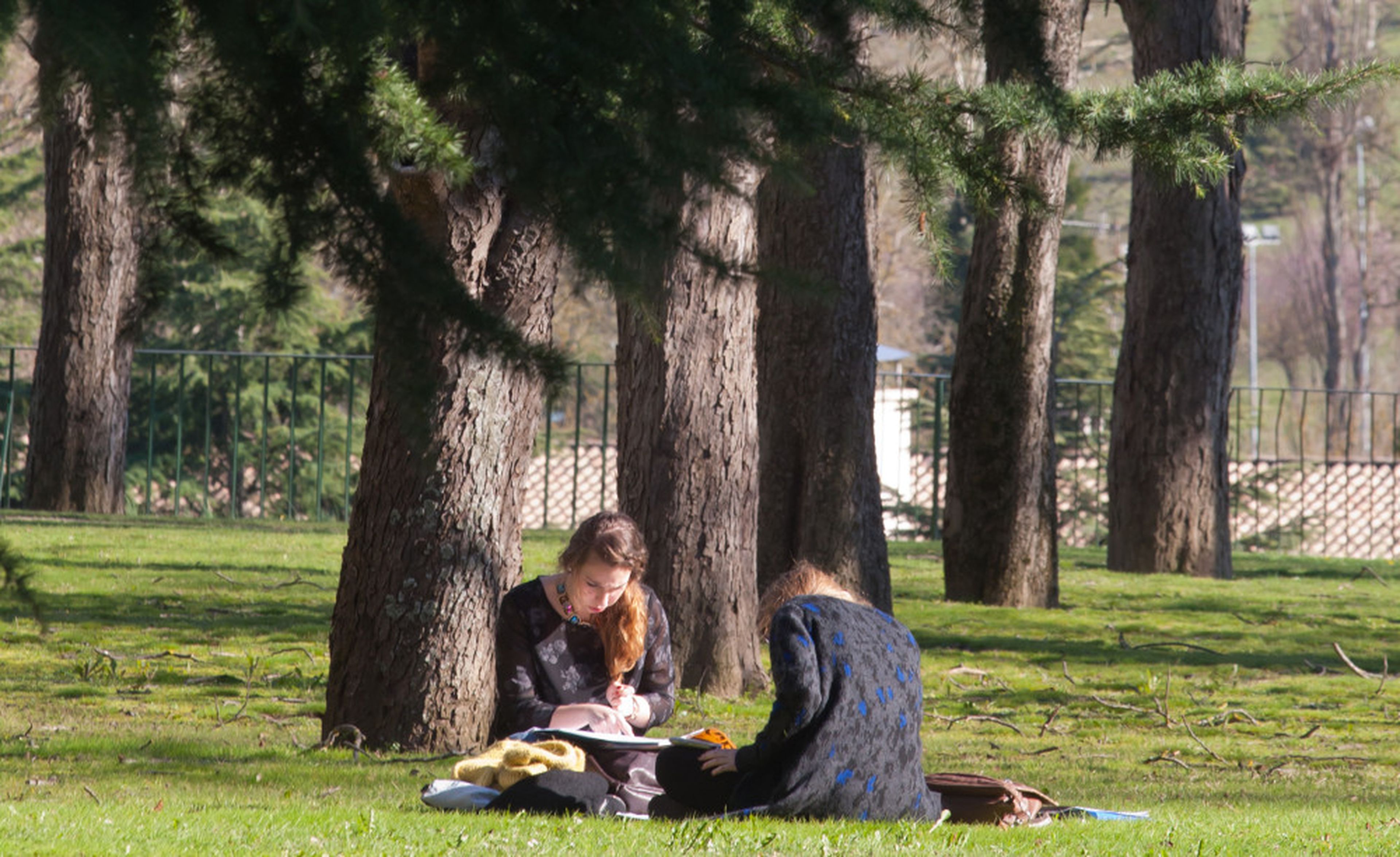 Alumnas estudiando en el campus de la facultad de ciencias de la Universidad de Navarra.