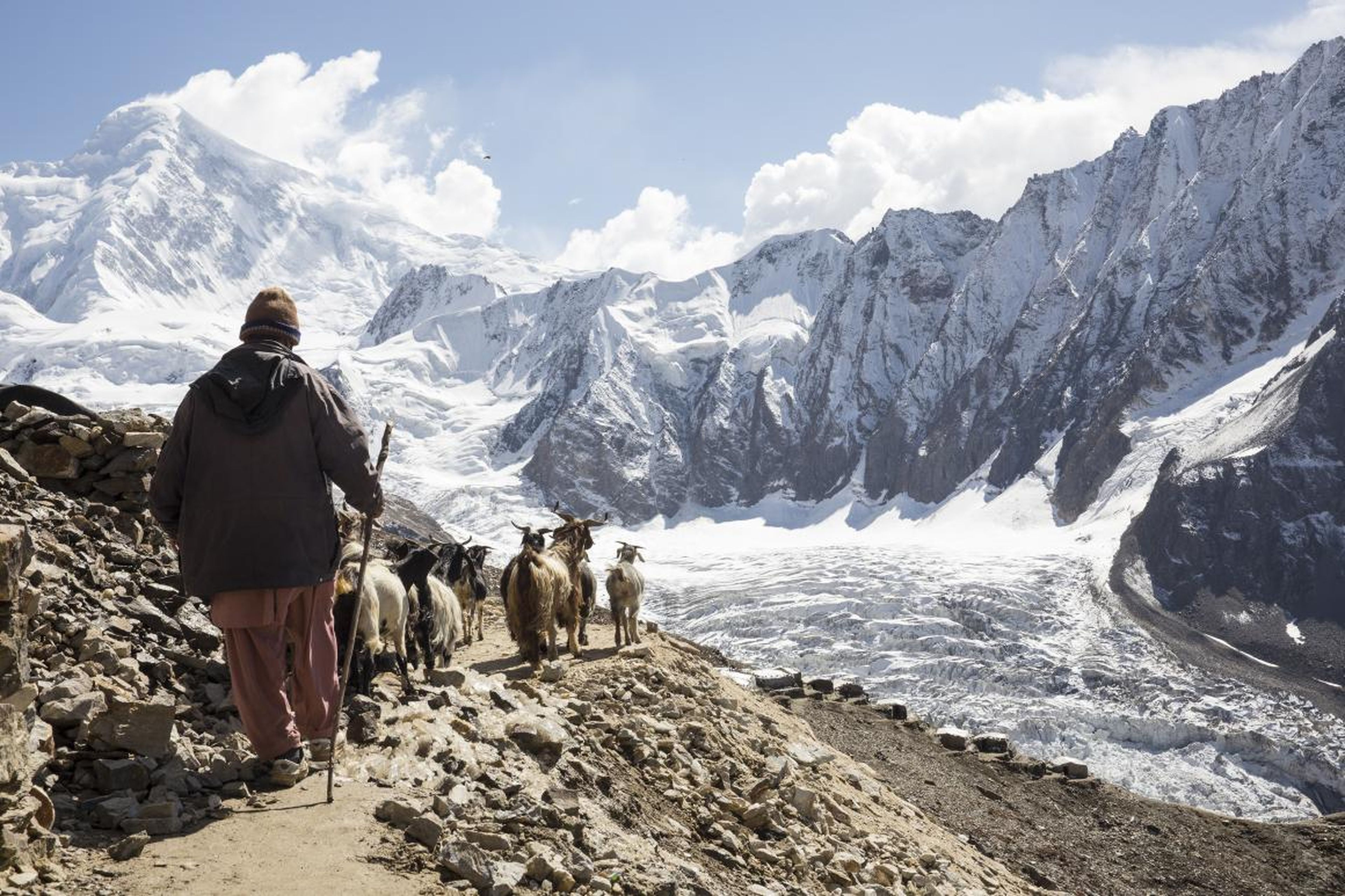 In this photo, a meat vendor brings goats to supply to the gem miners. Because of the high altitude, all the supplies and equipment must be brought in from the villages and valley below.