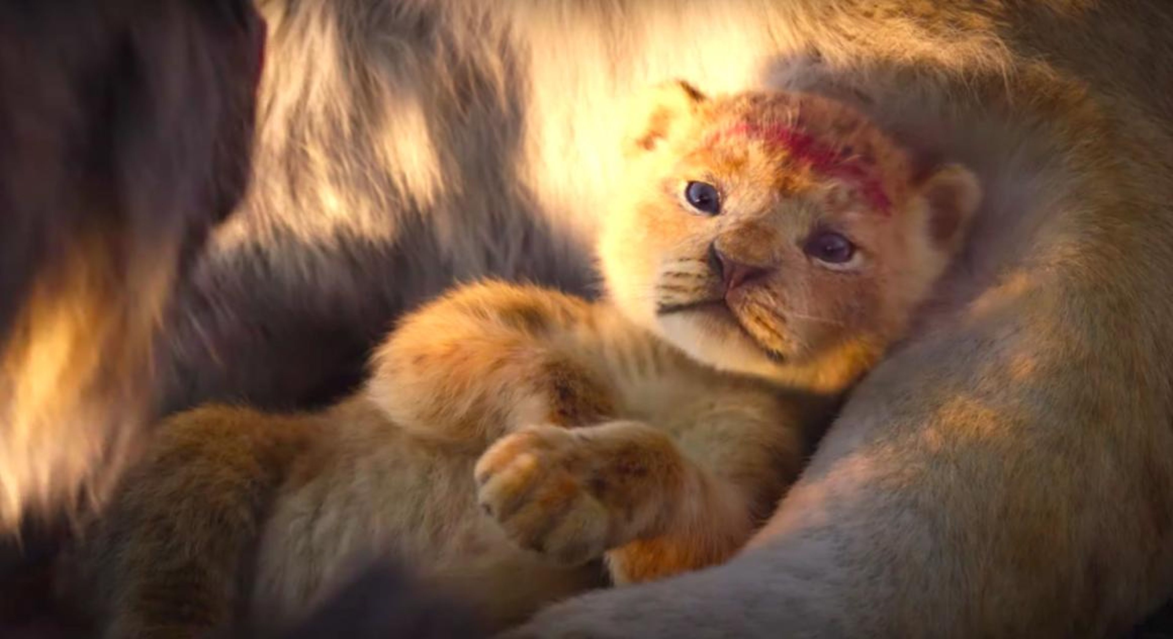 Simba is shown in a new teaser for "The Lion King" remake.