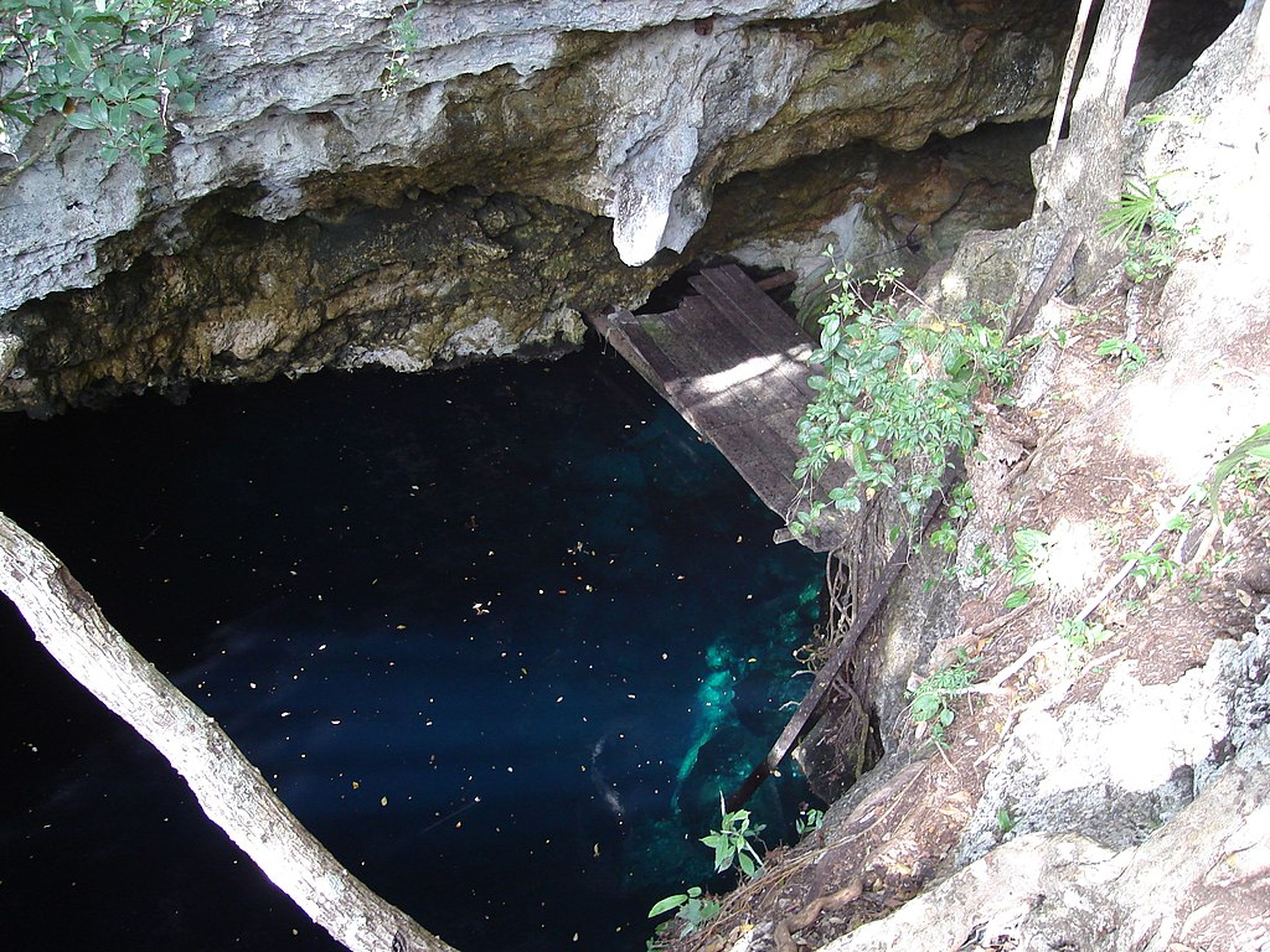 The Pit Cenote