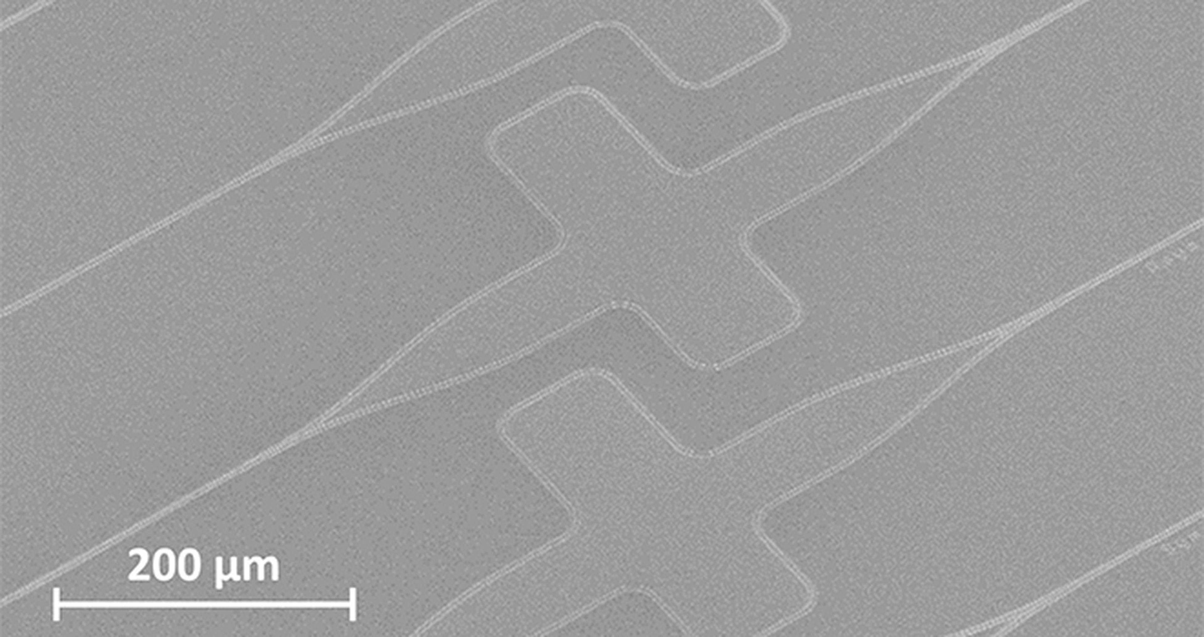 Chips fotónicos creados por el CSIC