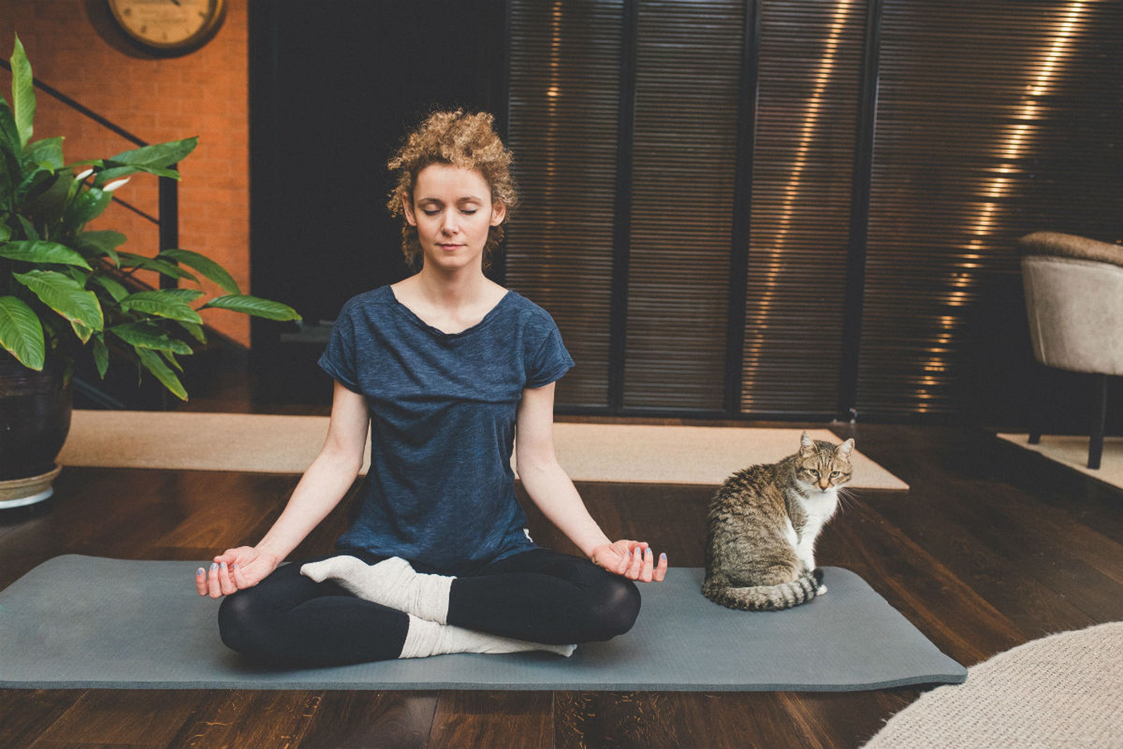 Una mujer practica yoga junto a su gato