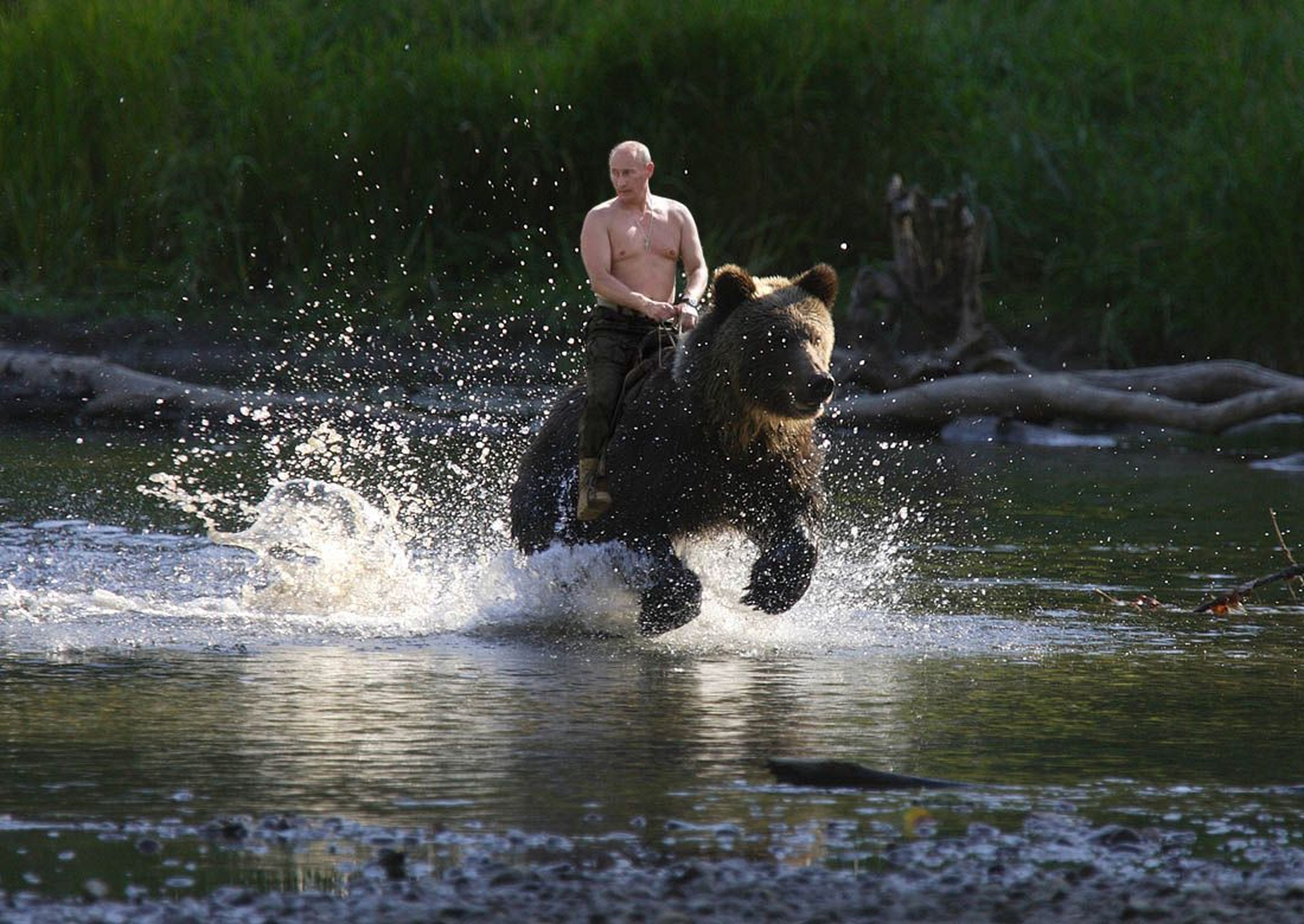 Vladimir Putin, a lomos de un oso pardo.