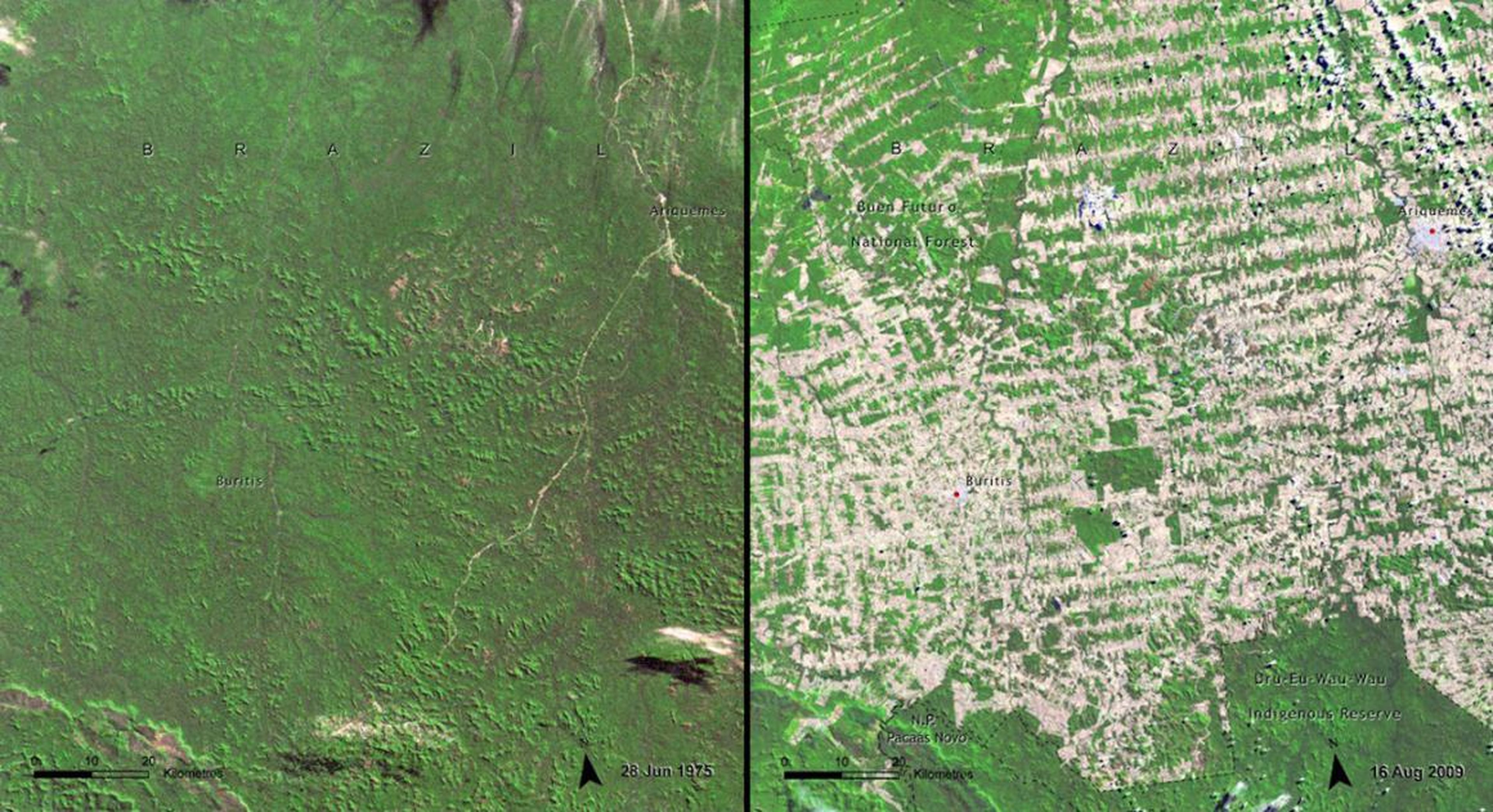 This area of Rondonia, Brazil was heavily deforested between 1975 (left) and 2009 (right).