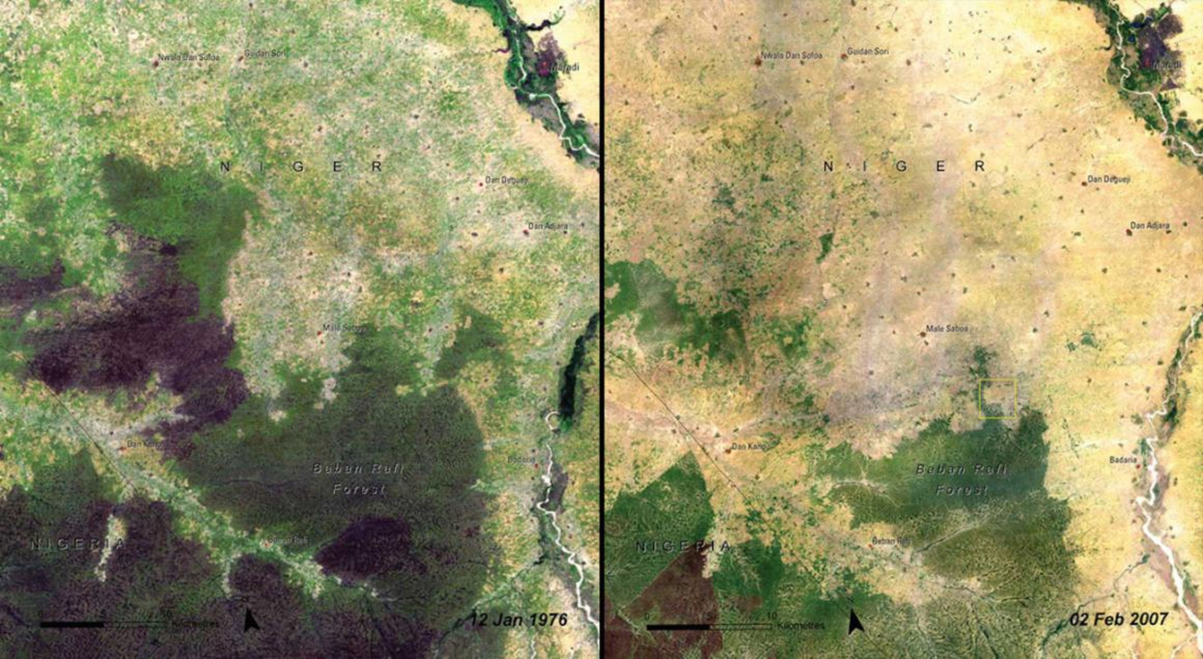 The Baban Rafi Forest in Niger also shrank from 1976 (left) to 2007 (right).