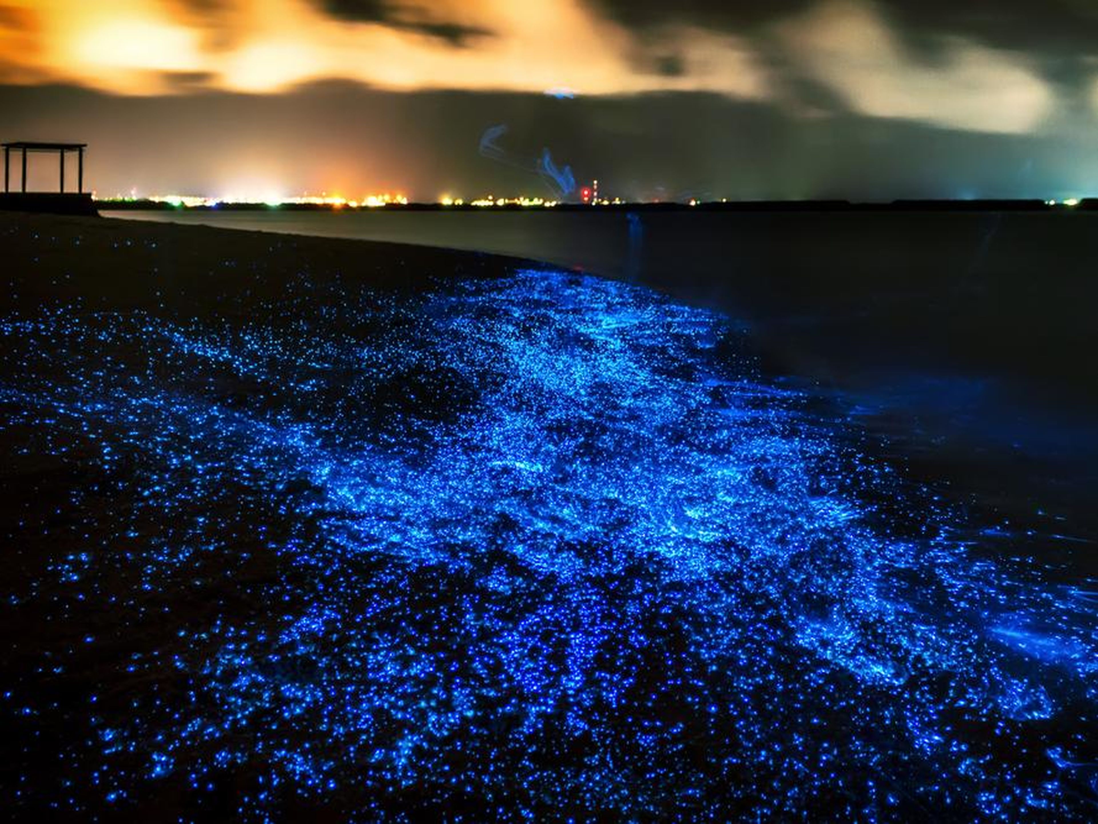 Playas bioluminiscentes, Maldivas