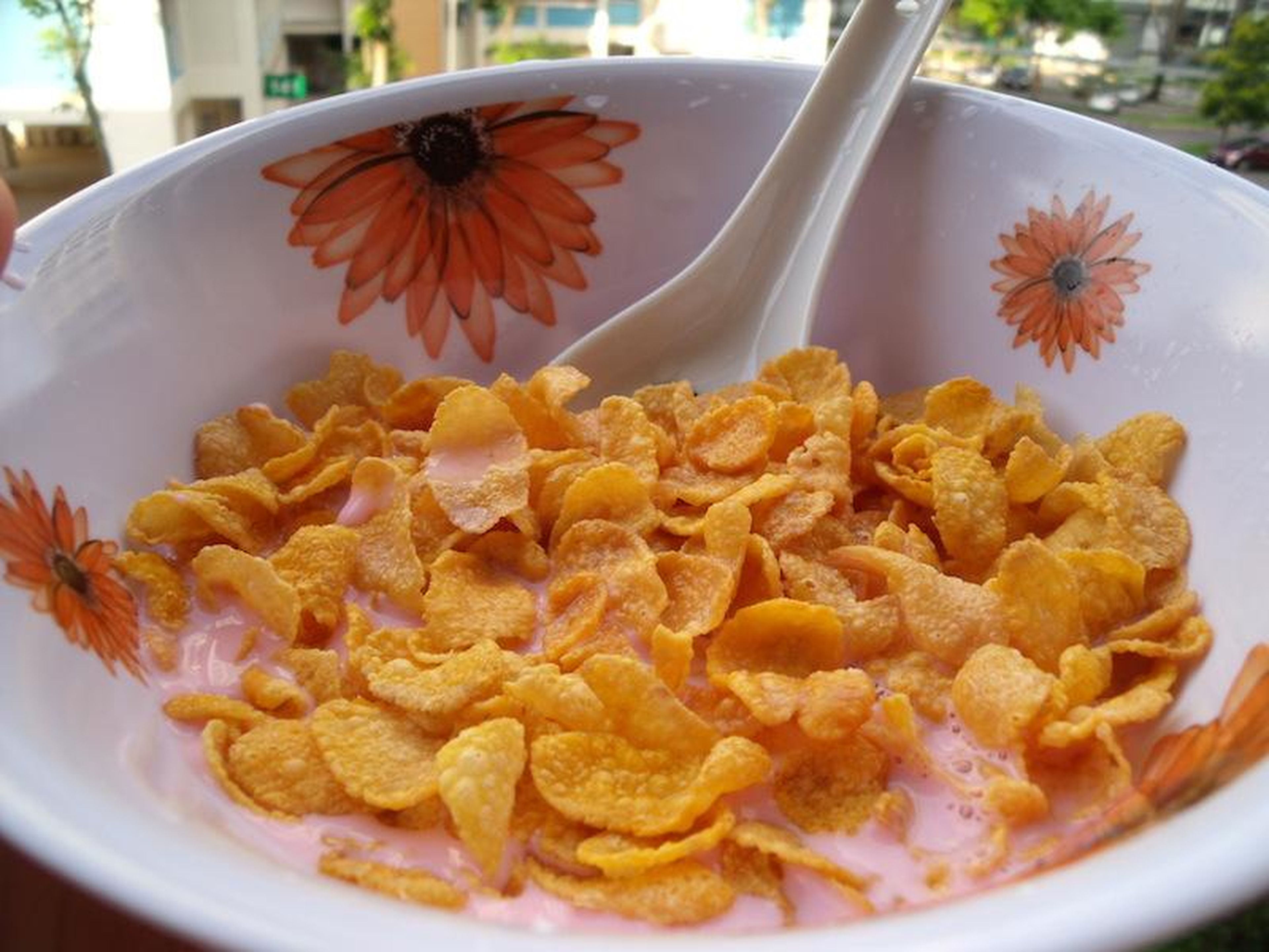 A bowl of cornflakes.