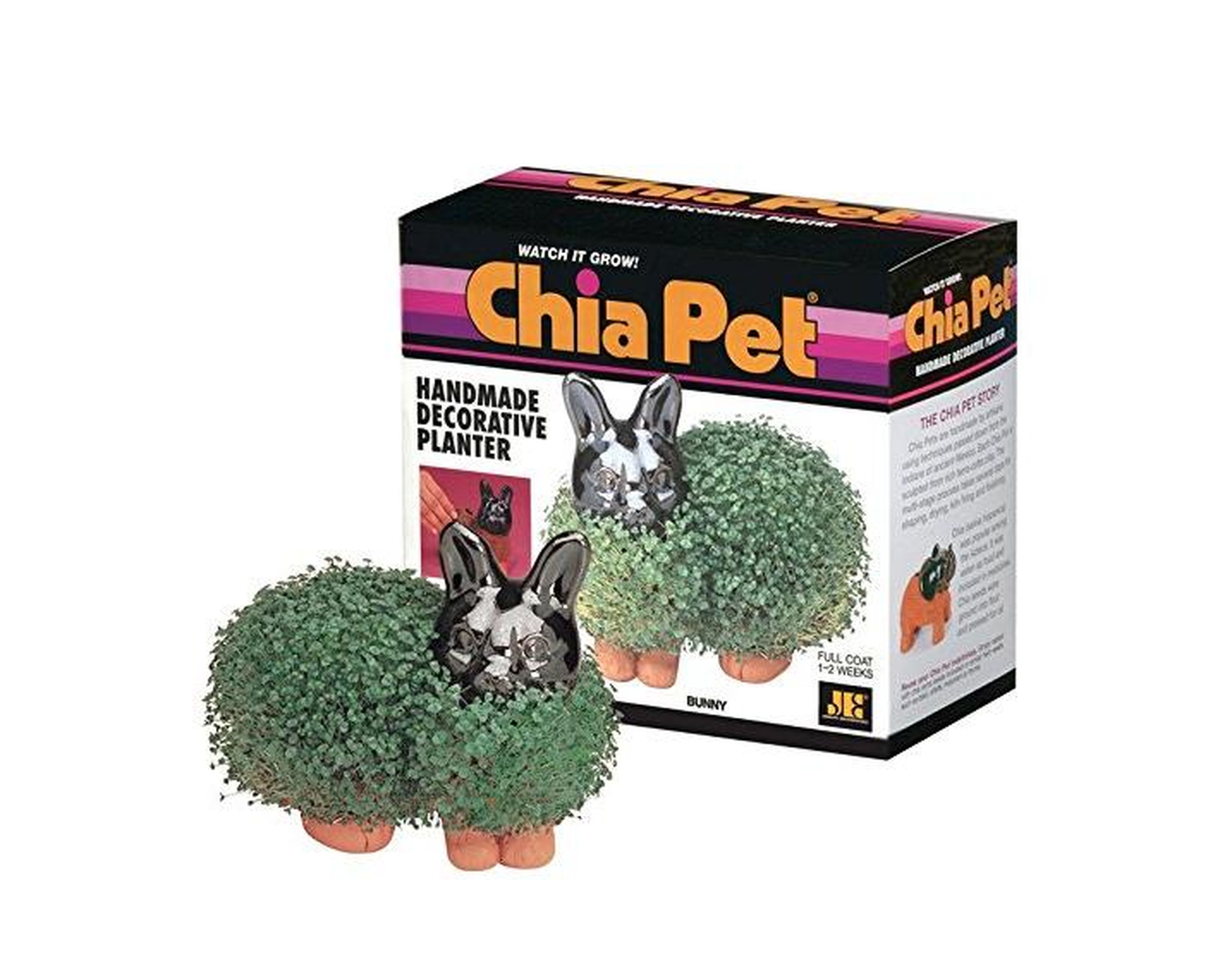 The Chia Pet — clay figures filled with water and coated in seeds that sprout greenery — is a cultural icon. You can buy a chia pet of a dog, cat, bunny, or even the president. The company sells 500,000 every holiday season. At