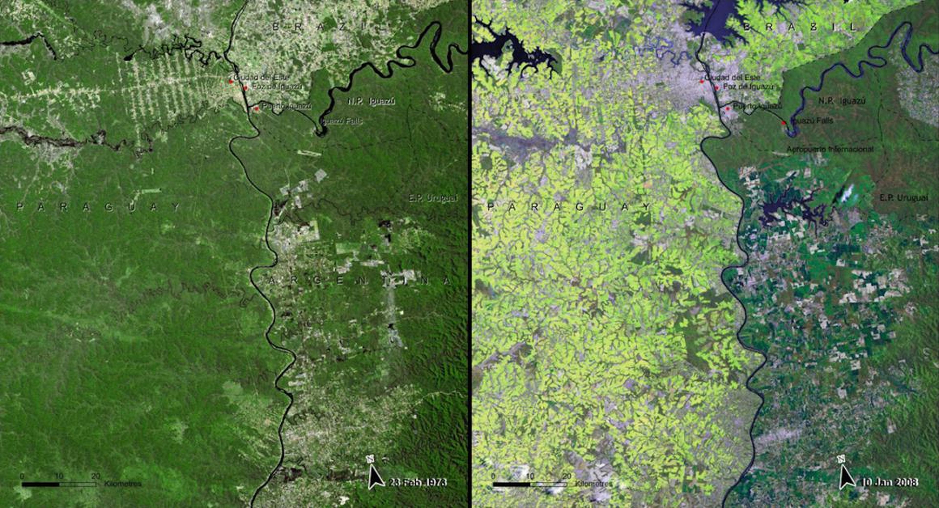 Deforestation is a major issue in South America as well. The Atlantic Forest in Paraguay, seen here, shrank significantly between 1973 (left) and 2008 (right).