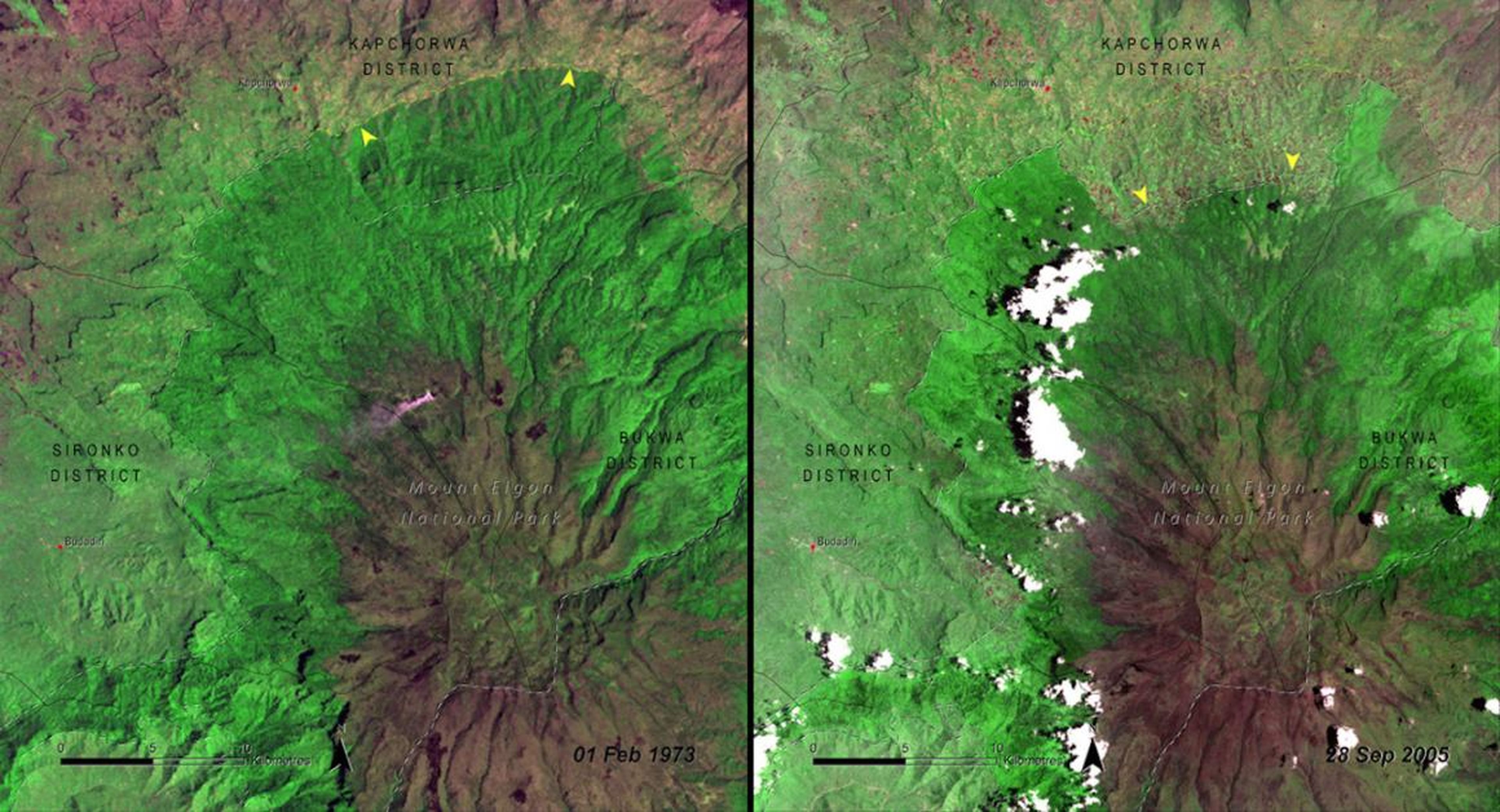 Deforestation, often from logging or to clear room for agriculture, is another highly visible human-driven change. Starting in the 1970s, NASA began using satellite images to document deforestation in national parks around the