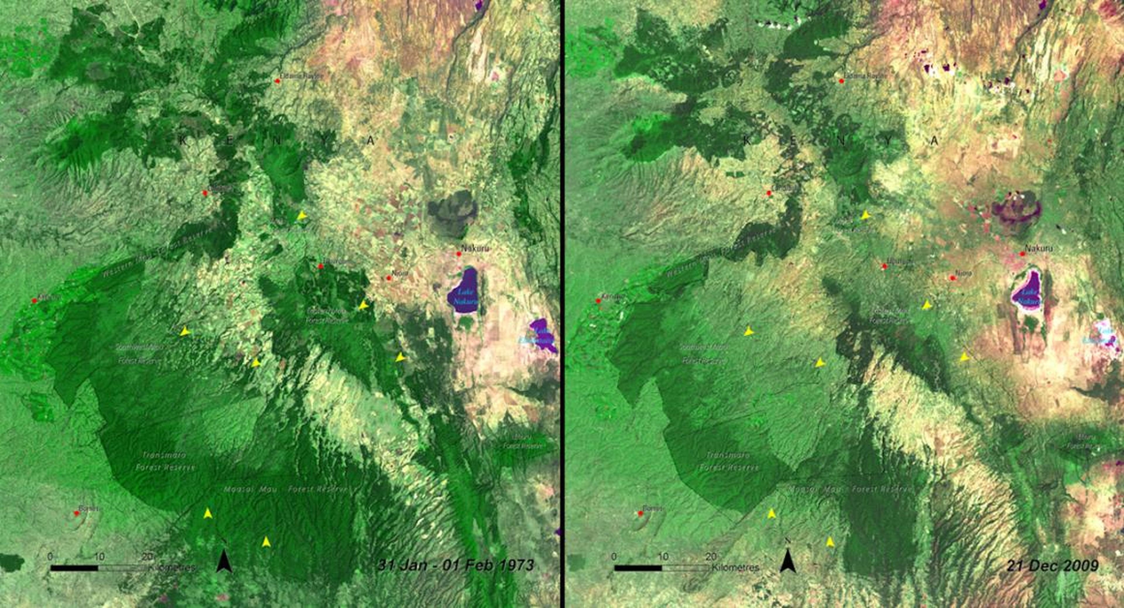 Every year, more than 18 million acres of forest disappear worldwide. That's about 27 soccer fields' worth every minute. More deforestation is visible in Kenya's Mau Forest in these photos from January 1973 (left) and December
