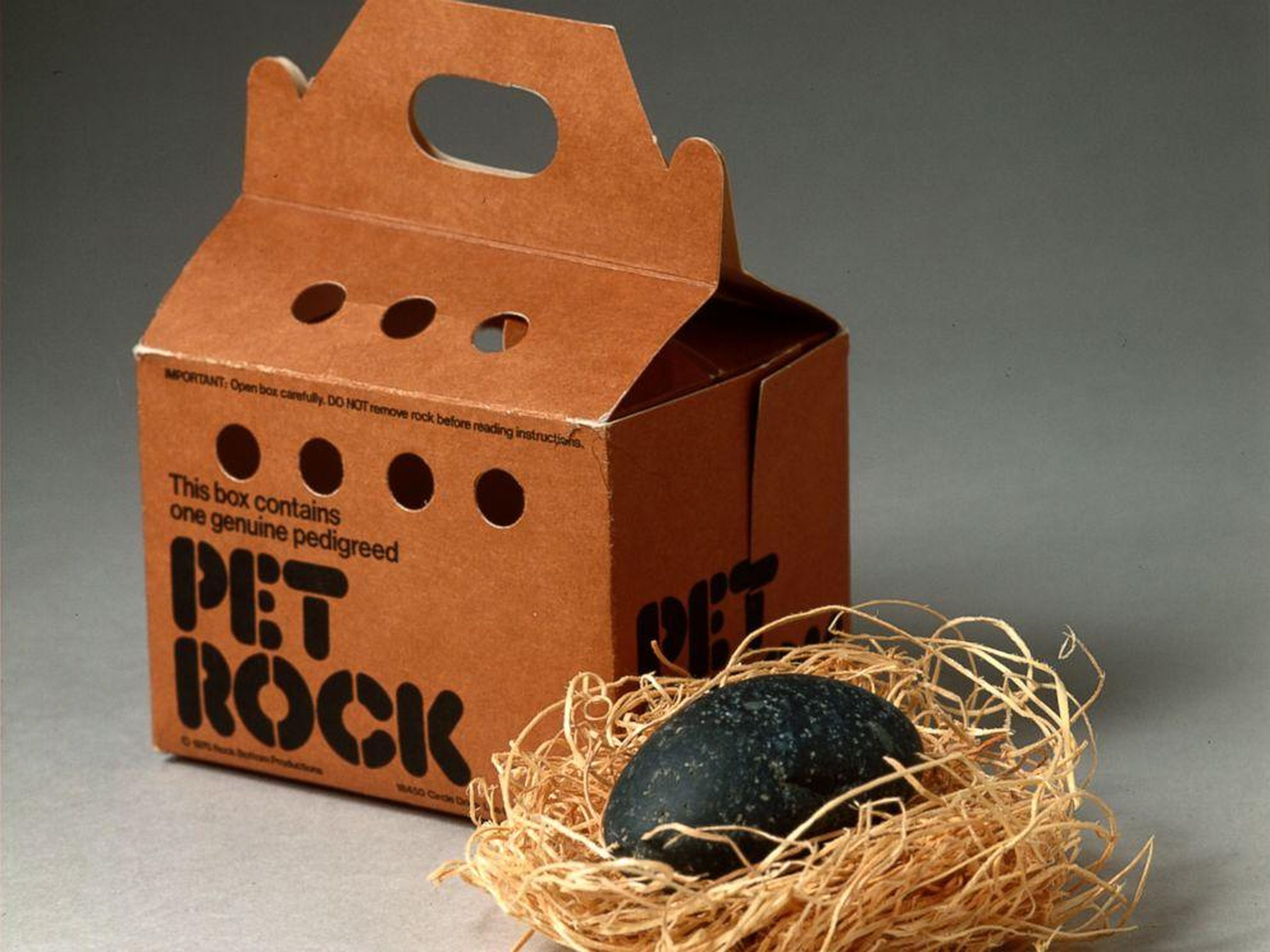 Gary Dahl, an advertising executive, was known to joke. After listening to his friends talk about the perils of caring for a pet, he created the Pet Rock in 1975, putting nearly $6 million in his pocket.