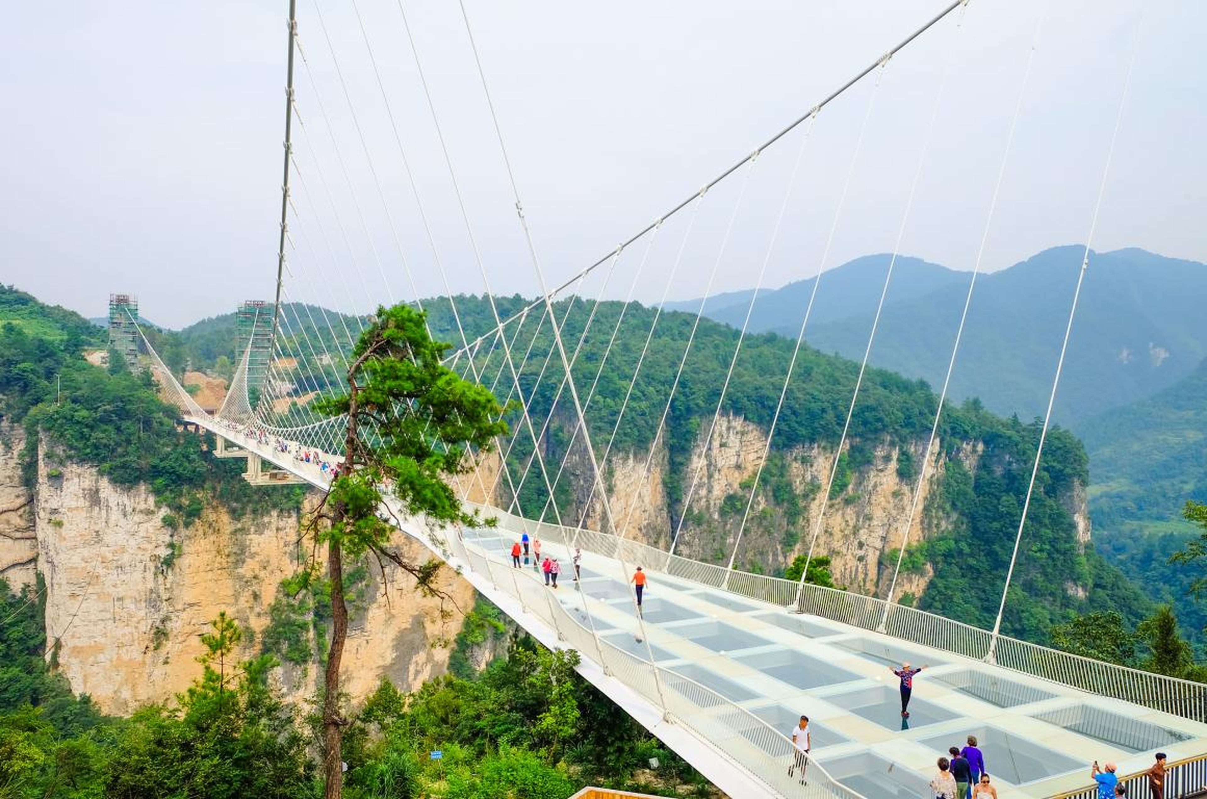 El Zhangjiajie Glass Bridge en China.