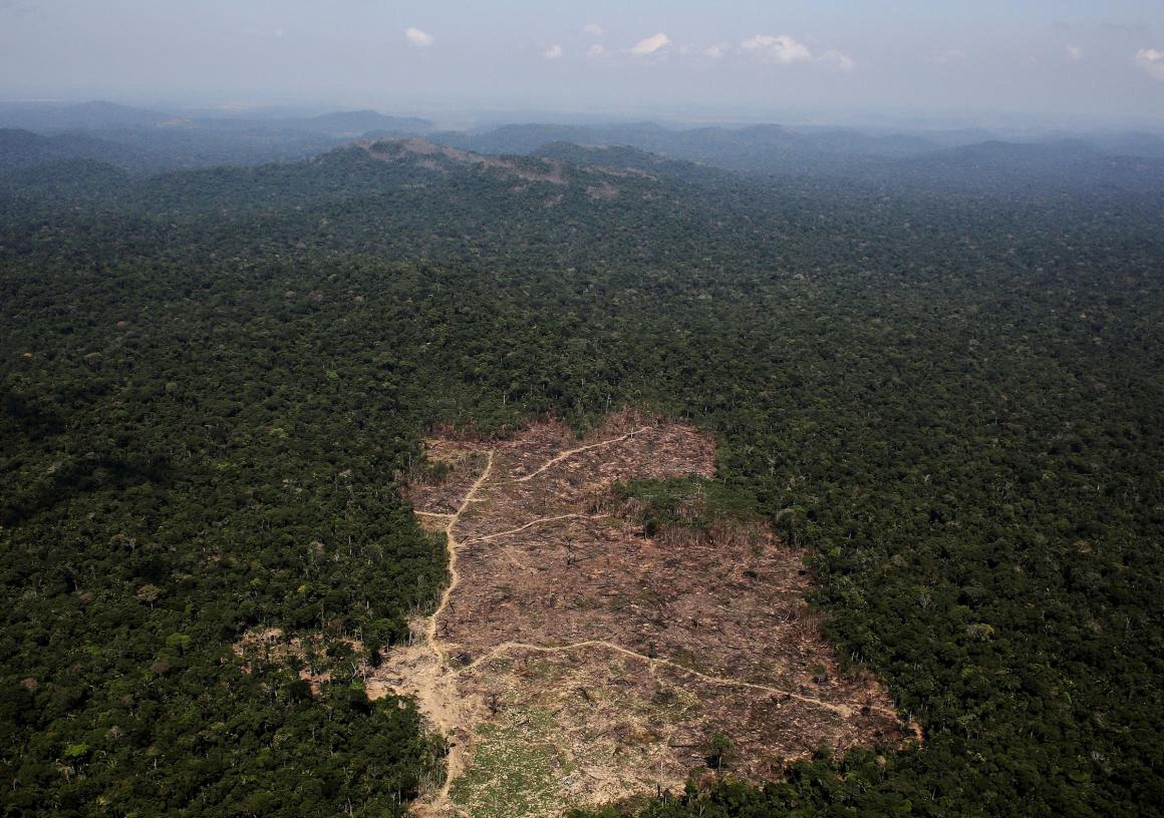 An aerial view of a tract of Amazon jungle recently cleared by loggers and farmers near the city of Novo Progresso, Brazil.