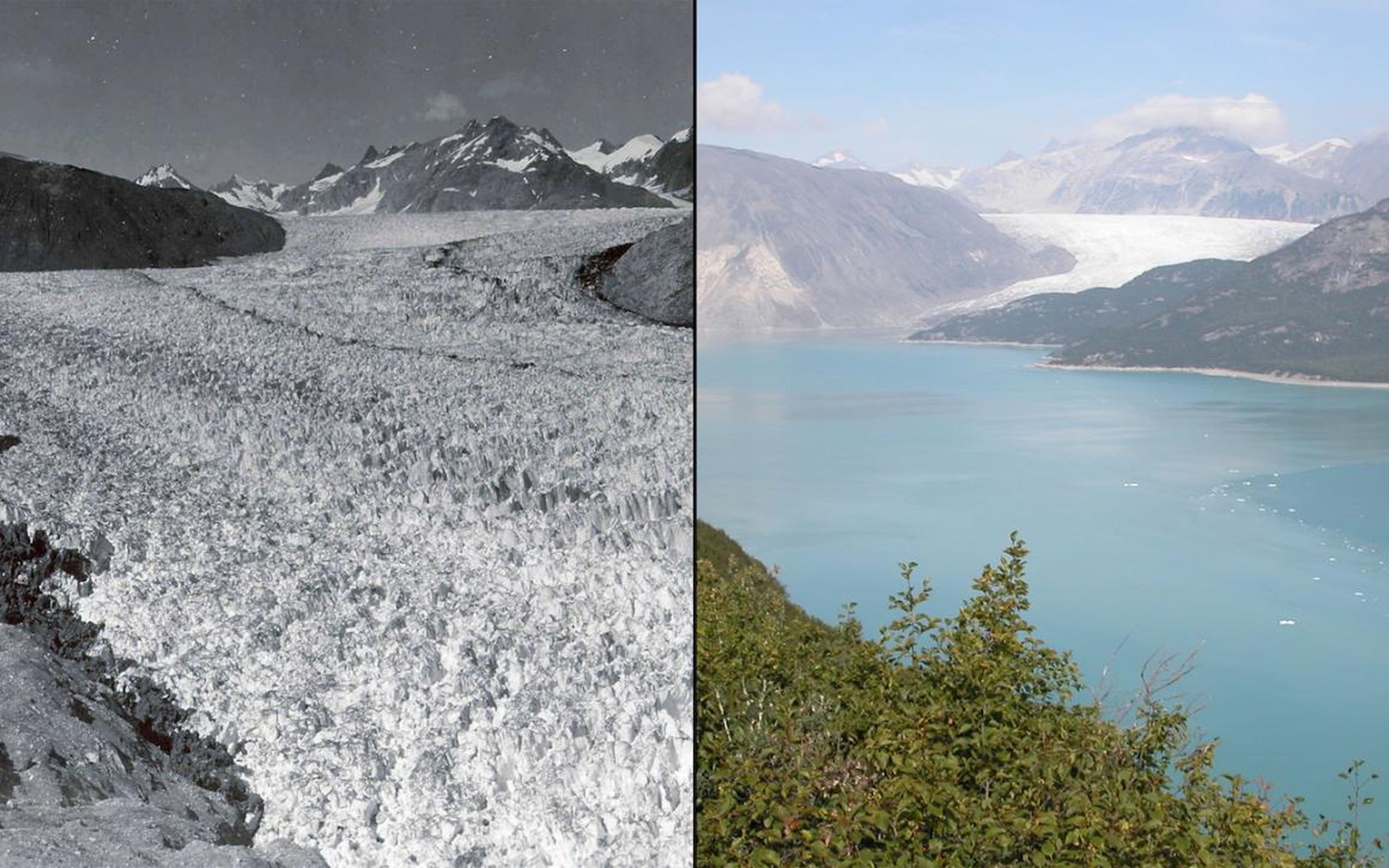 Melting glaciers are some of the most visually dramatic effects of a warming planet. Here's Alaska's Muir Glacier as pictured in August 1941 (left) and August 2004 (right).