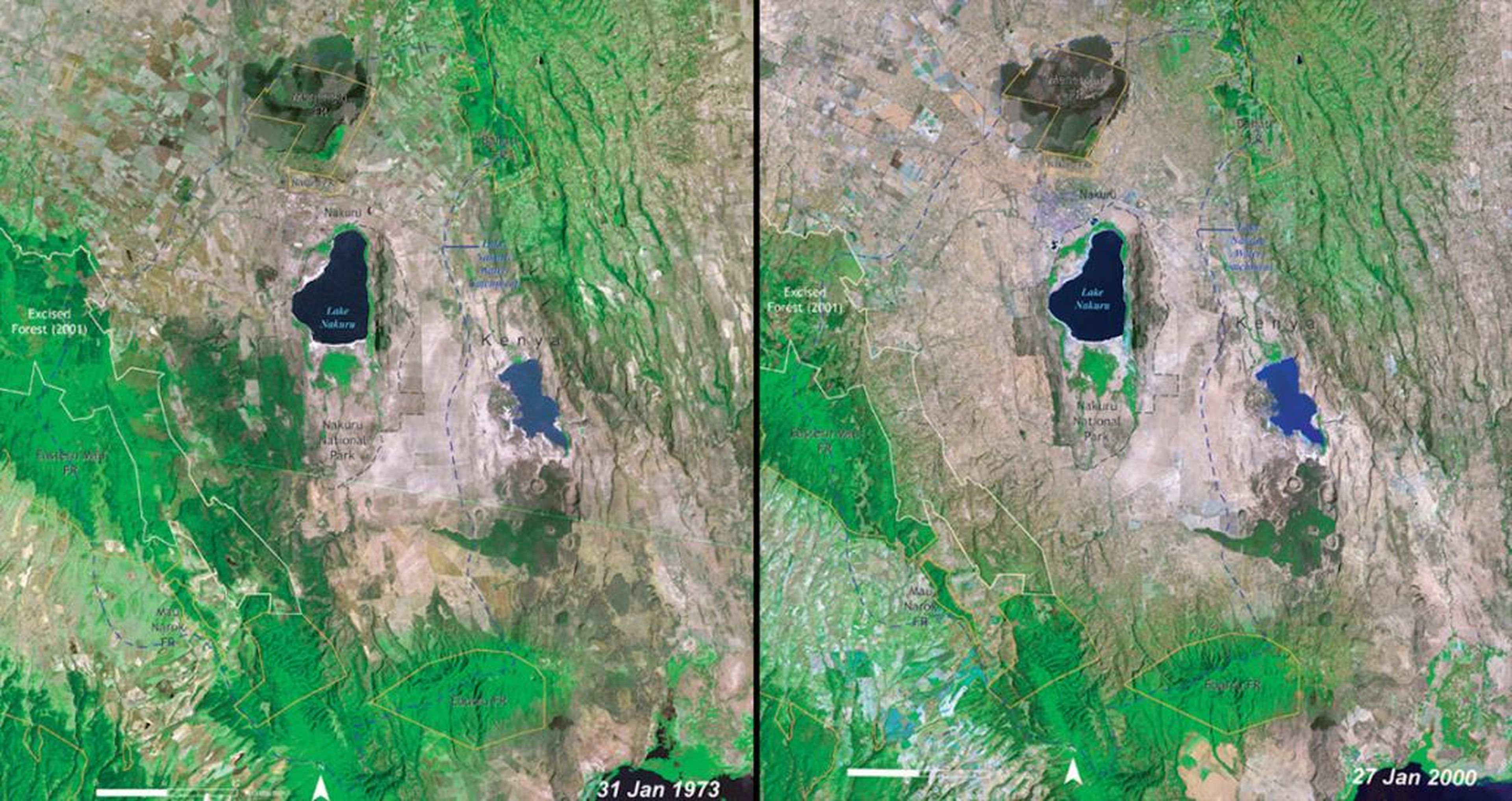 A similar contrast is visible in these images of Kenya's Lake Nakuru National Park, shown here in 1973 (left) and 2000 (right).