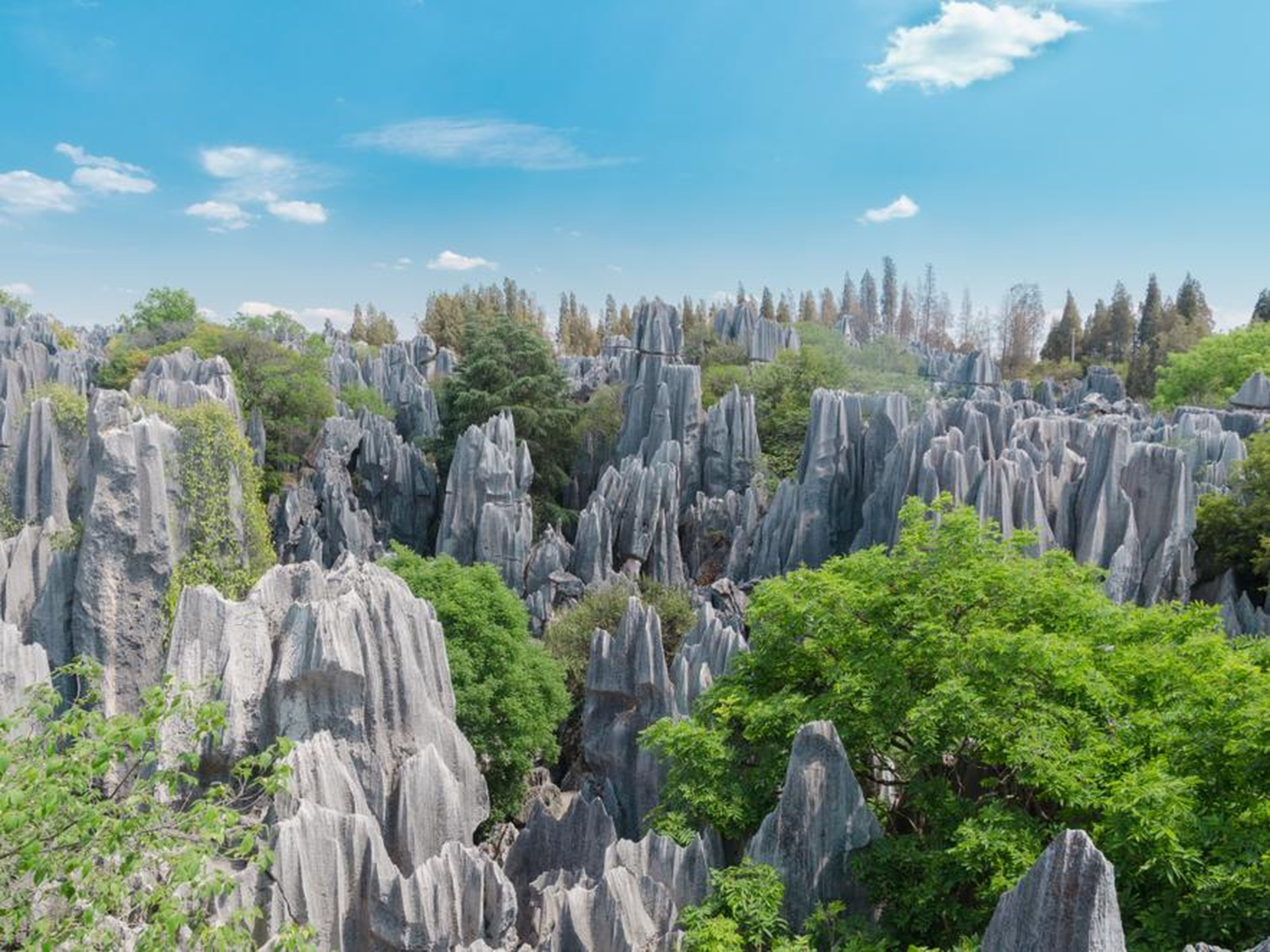 El bosque de piedra, China