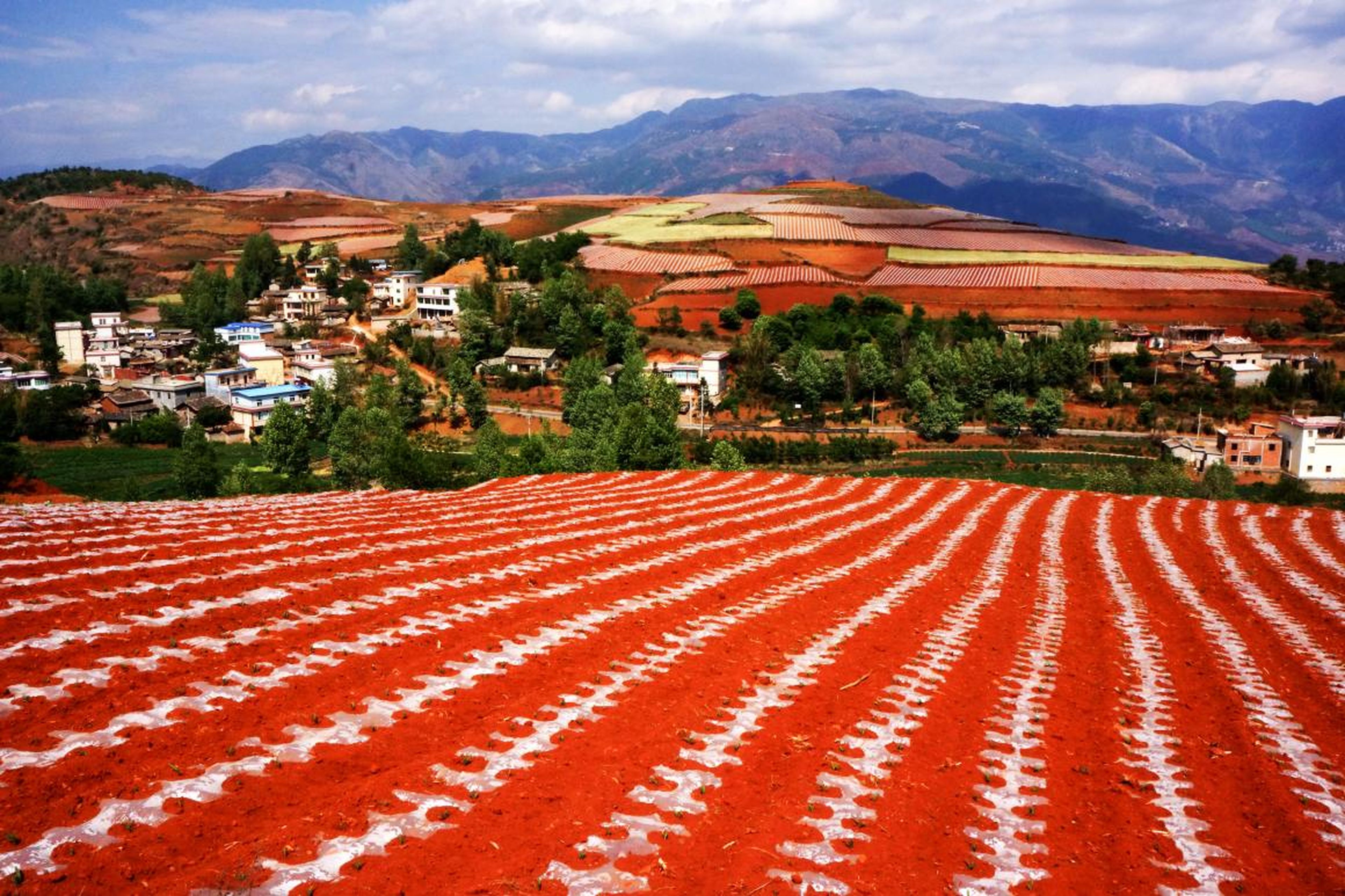 Los fotógrafos pueden capturar imágenes increíbles en la Tierra Roja de Dongchuan.