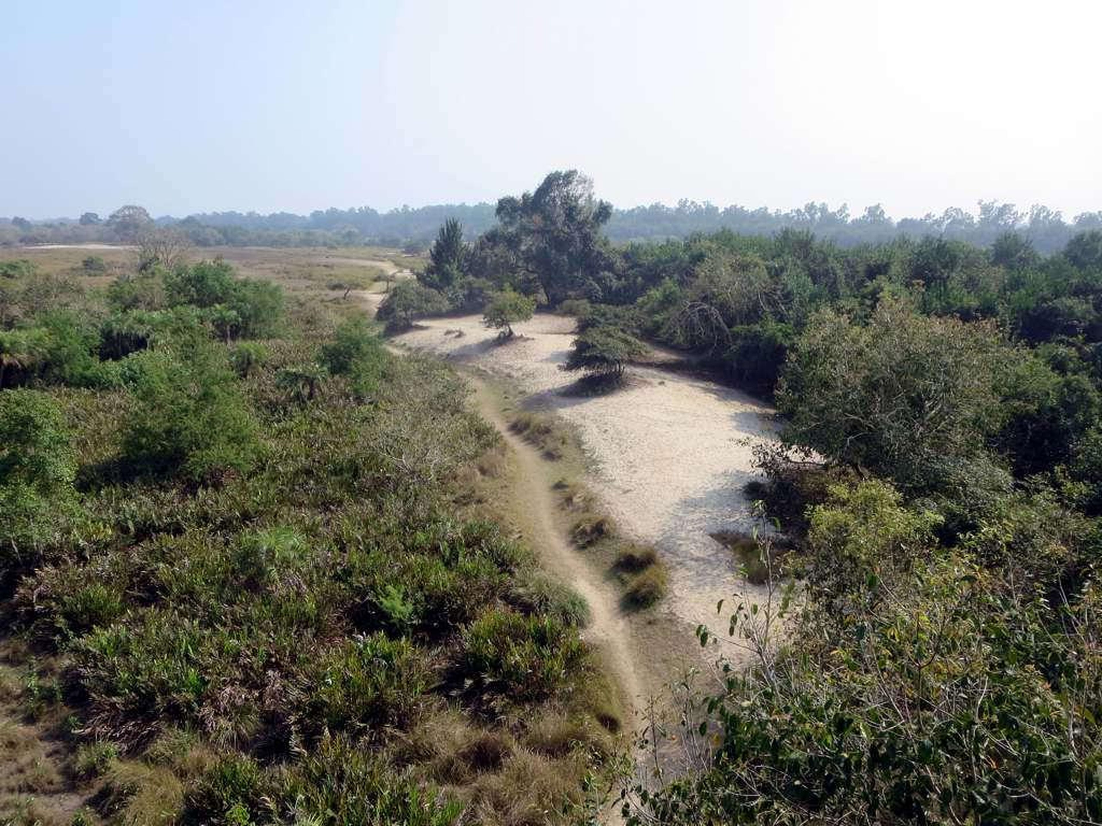 Los Sundarbans son el hogar del bosque de manglar continuo más grande del mundo.