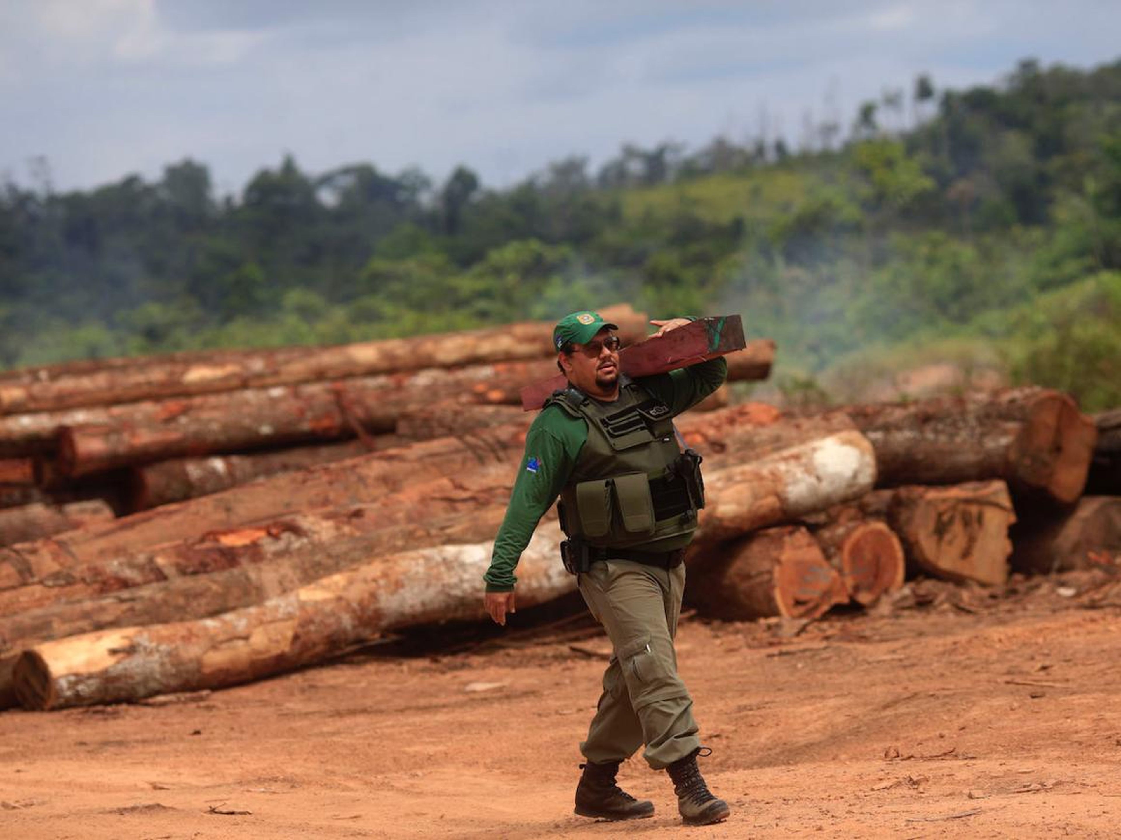 Agent Alex Lacerda of Brazil's Institute of Environment and Renewable Natural Resources carries a sample of wood that was confiscated at an illegal sawmill.
