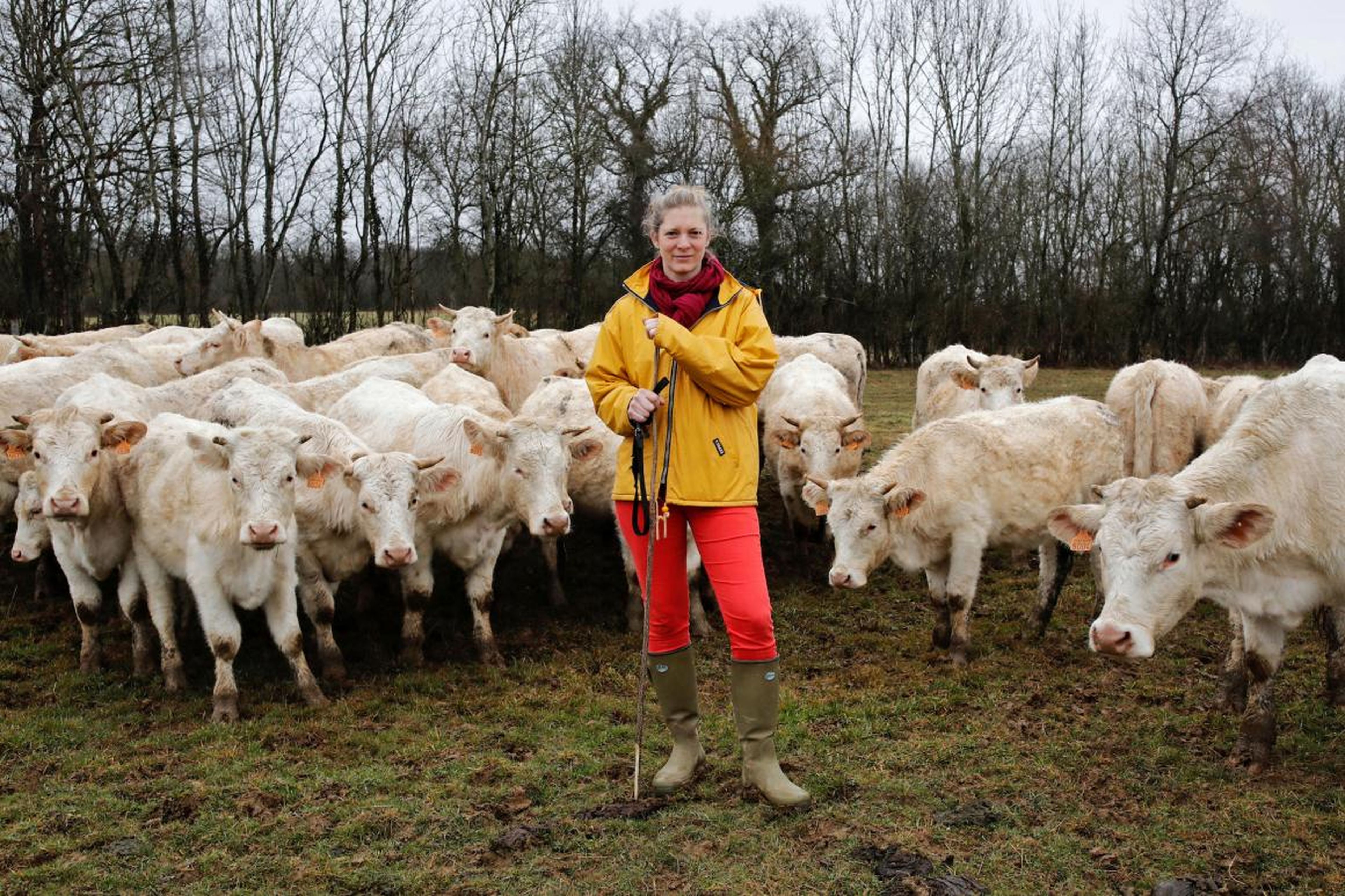 Emilie Jeannin, de 37 años, ganadera con sus vacas Charolais en Beurizot, Francia: "Una vez no pude evitar reírme cuando un asesor agrícola me preguntó dónde estaba el jefe, mientras yo estaba parada justo frente a él."