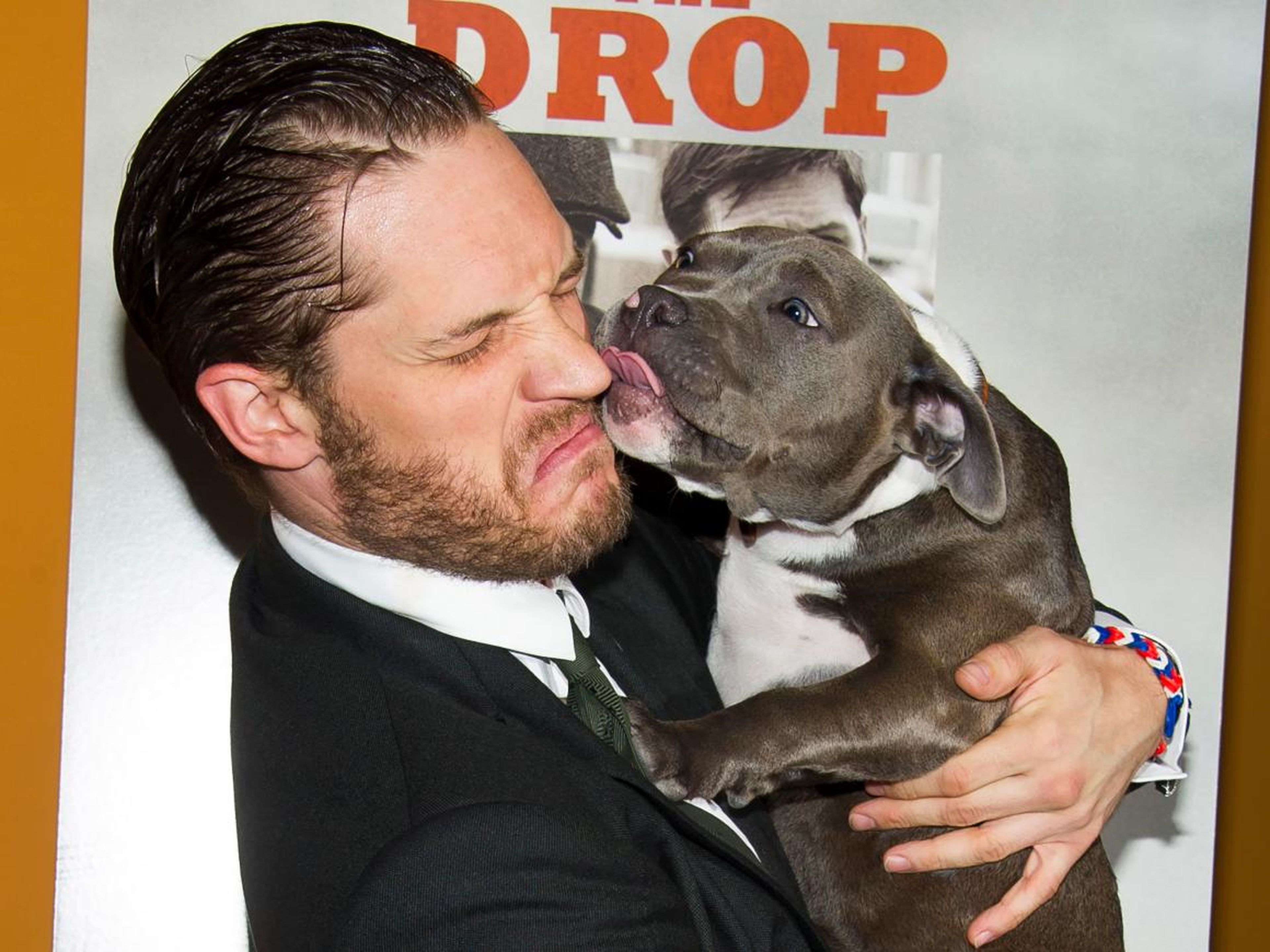 Tom Hardy wasn't ready for this slobbery kiss.