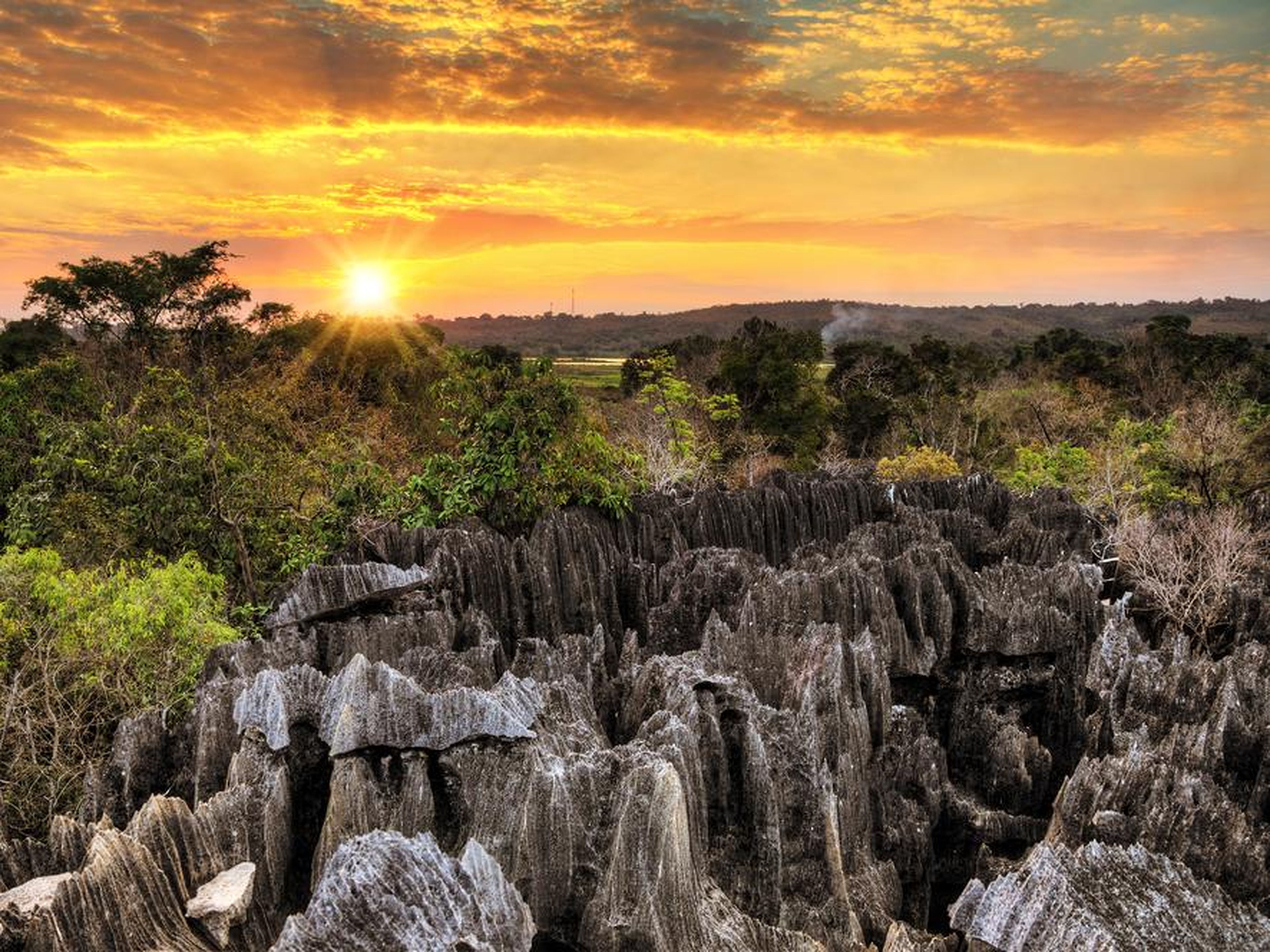 Tsingy es conocida por sus formaciones kársticas, piedra caliza porosa tallada en el tiempo por la lluvia.