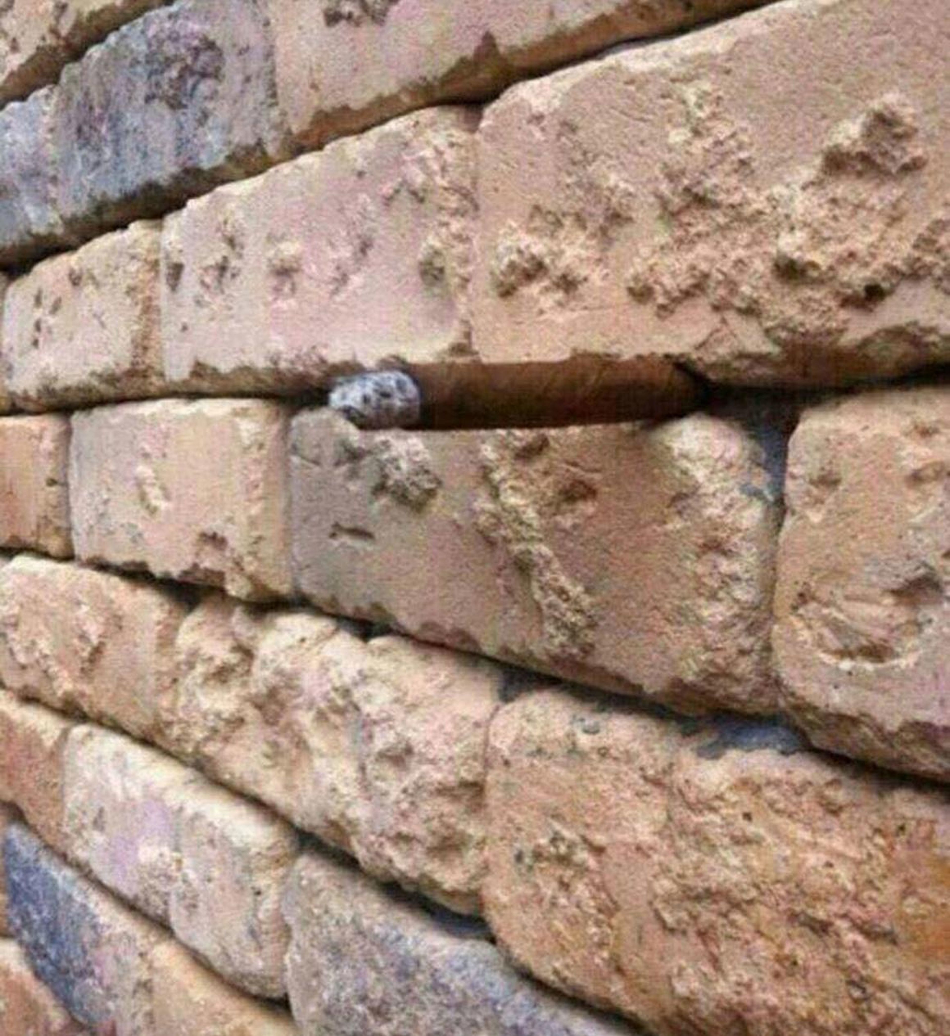 ¿Una pared de ladrillo?