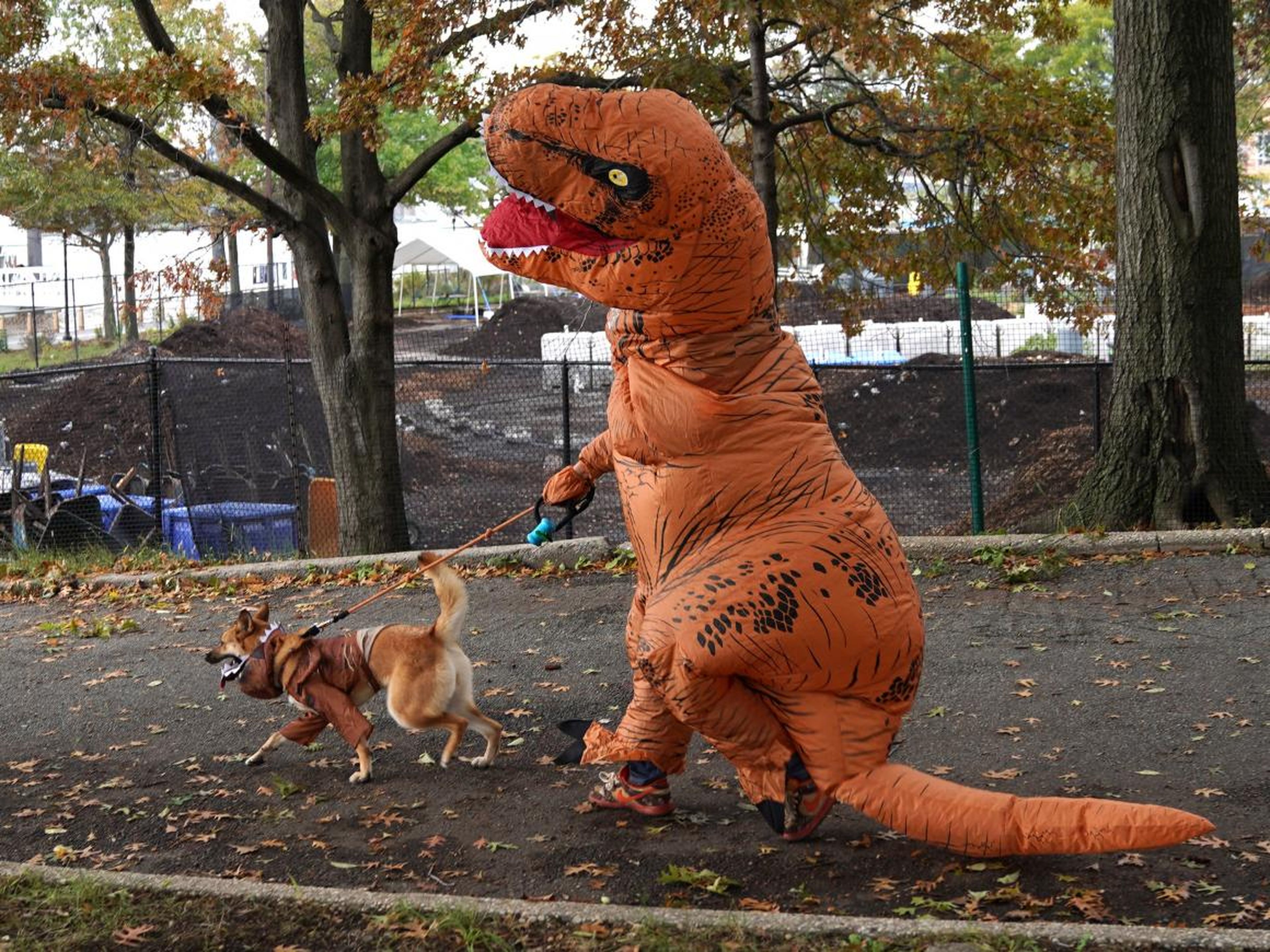 Un perro y su dueño durante la 28ª edición anual de Tompkins Square Halloween Dog Parade.