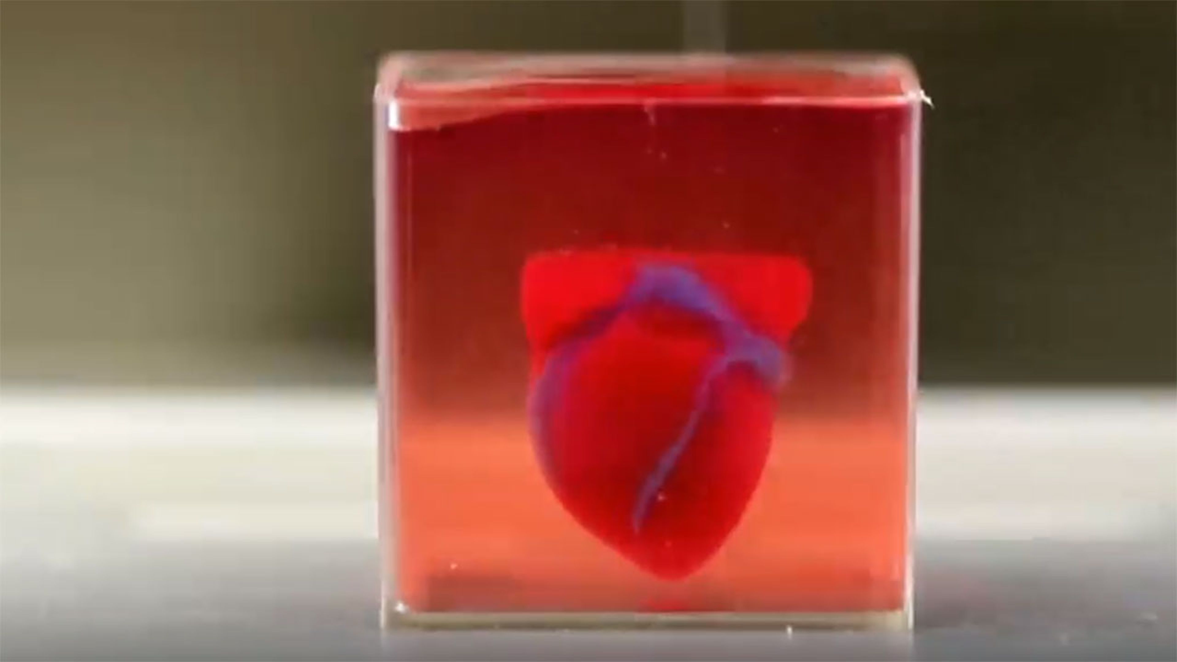 Corazón impreso 3D