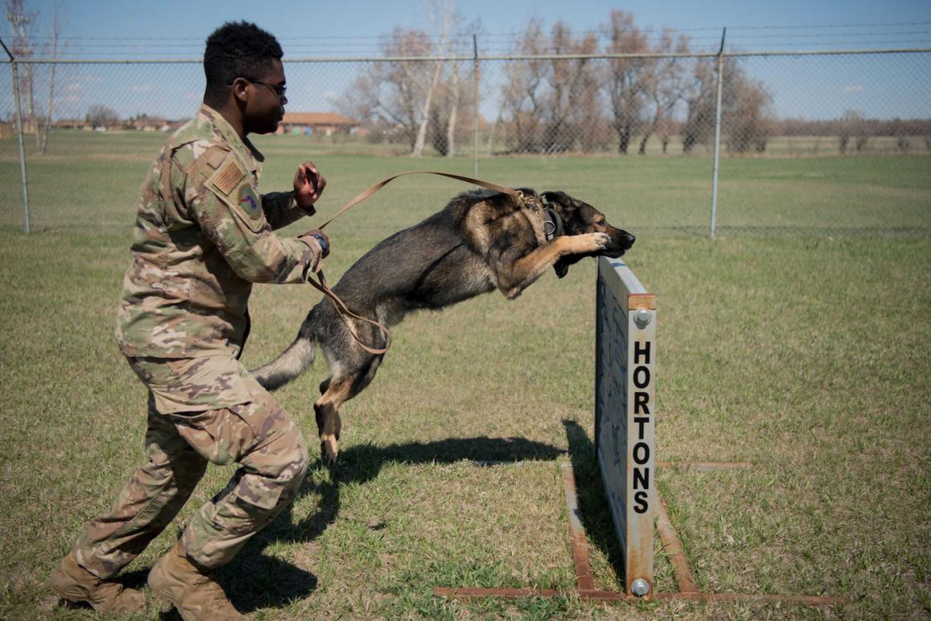 John Fountain, piloto de primera clase, un adiestrador de perros, con Deny en la carrera de Obstáculos de Obediencia en la base aérea de Minot, Dakota del Norte, 24 de abril de 2019