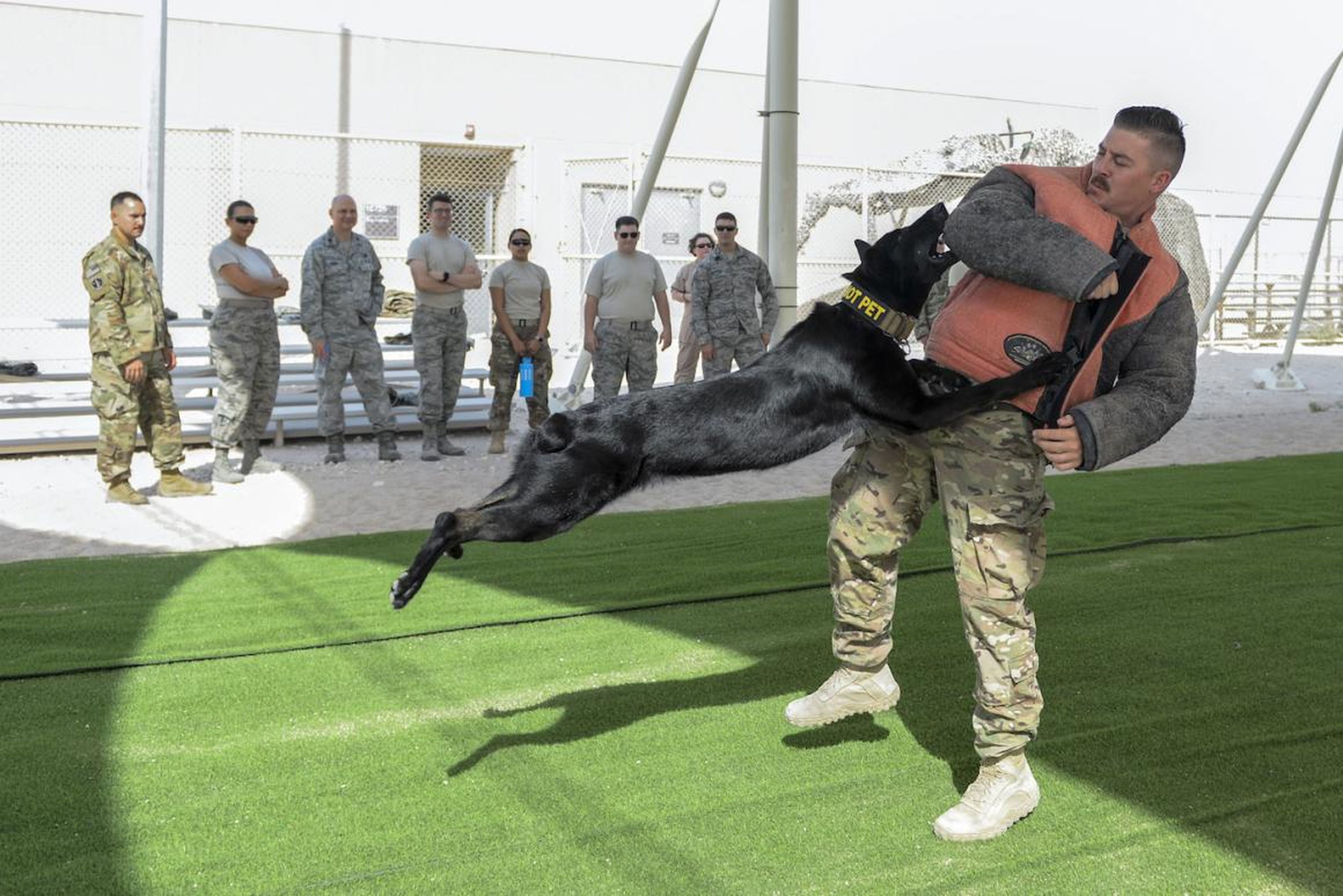 El sargento Brandon Stone, de las Fuerzas de Aire americanas, adiestrador de perros, se protege del impacto de Cola durante una demostración del ejercicio K-9, 17 de agosto de 2017