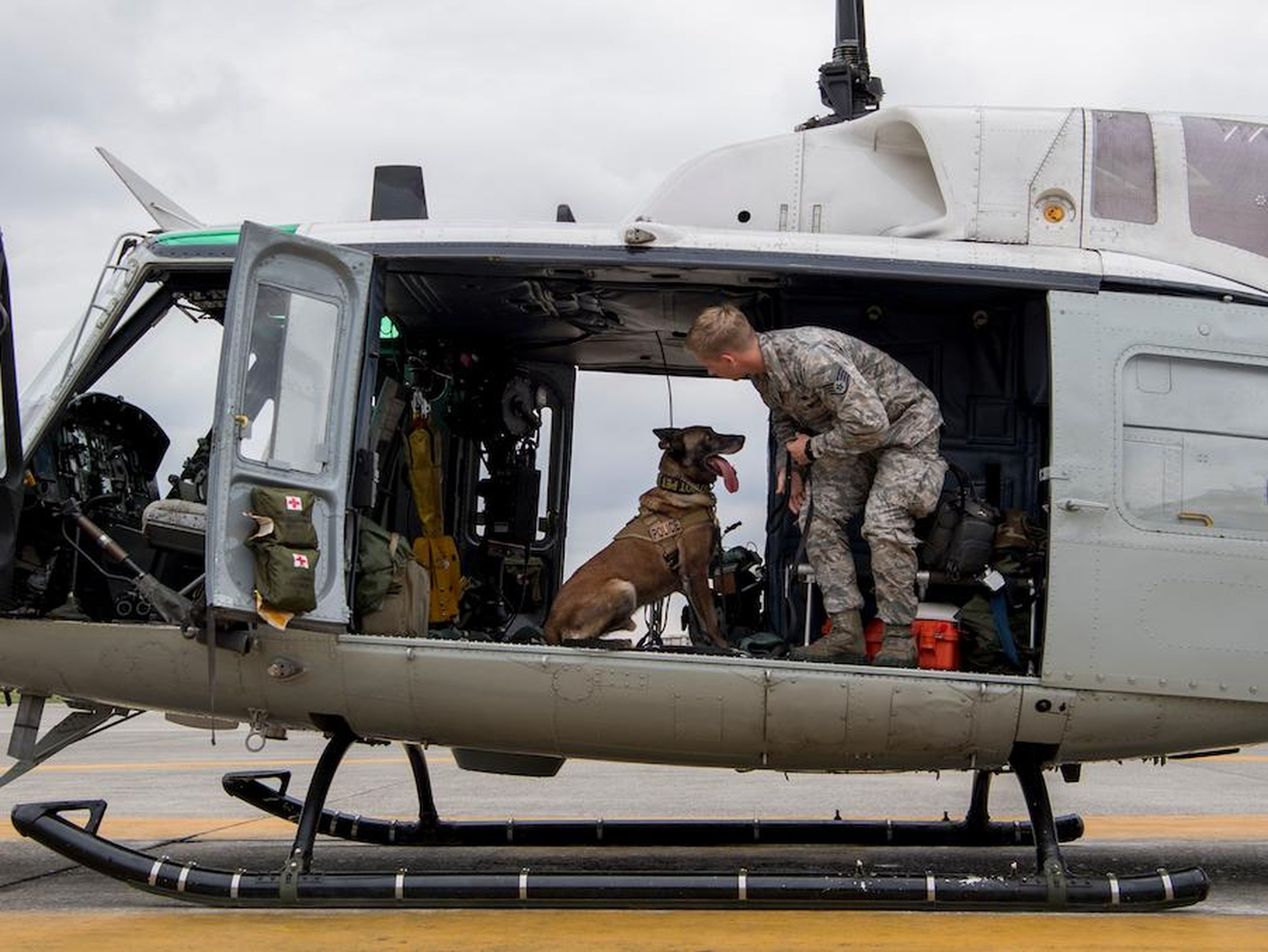 El sargento Cody Nickell, adiestrador de perros, trabaja con Topa para acostumbrarlo a estar en un helicóptero en la base aérea de Yokota, Japón, 26 de julio de 2018