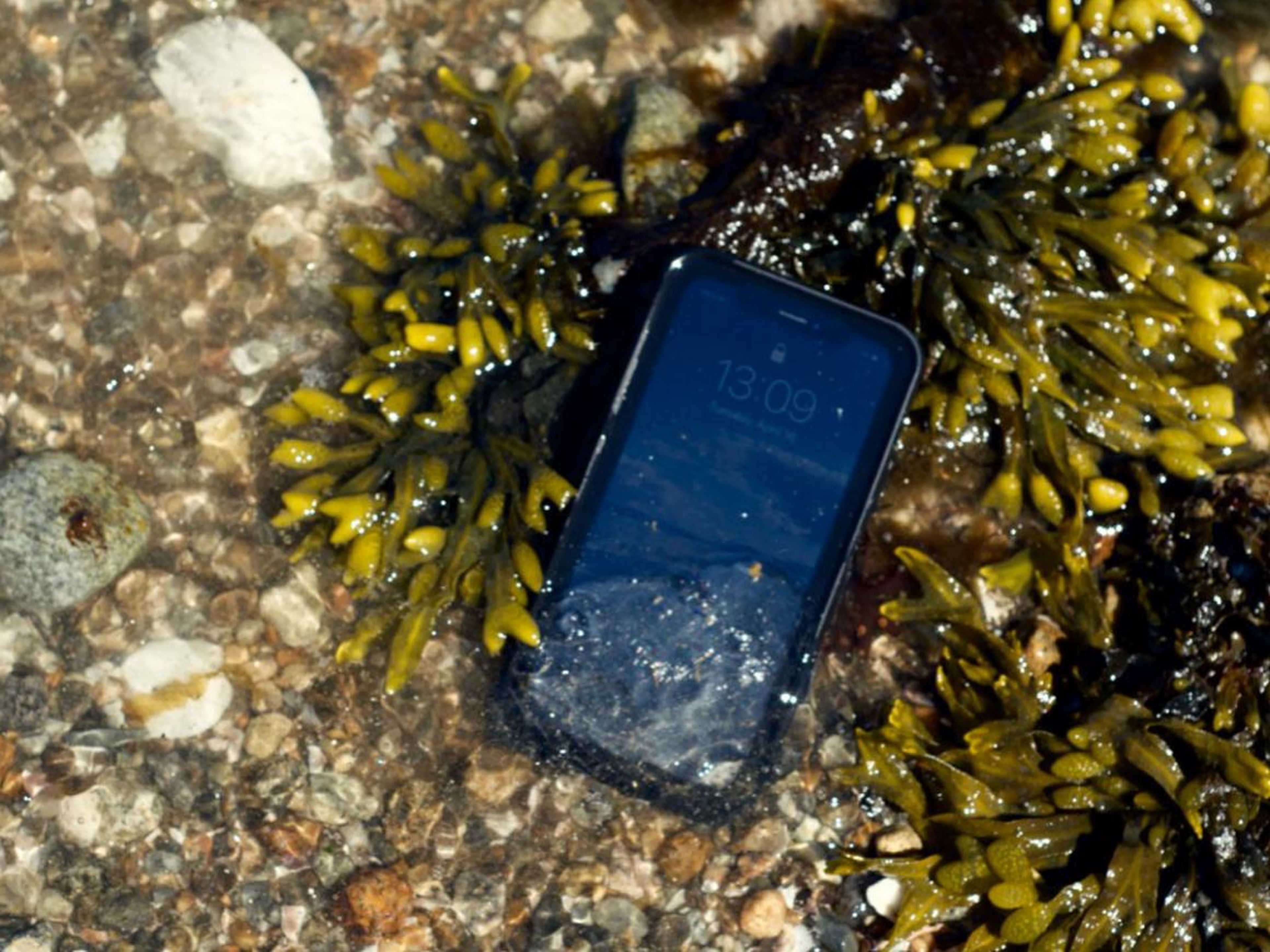 Mi iPhone XR, sano y salvo, sumergido en las costas de Long Island