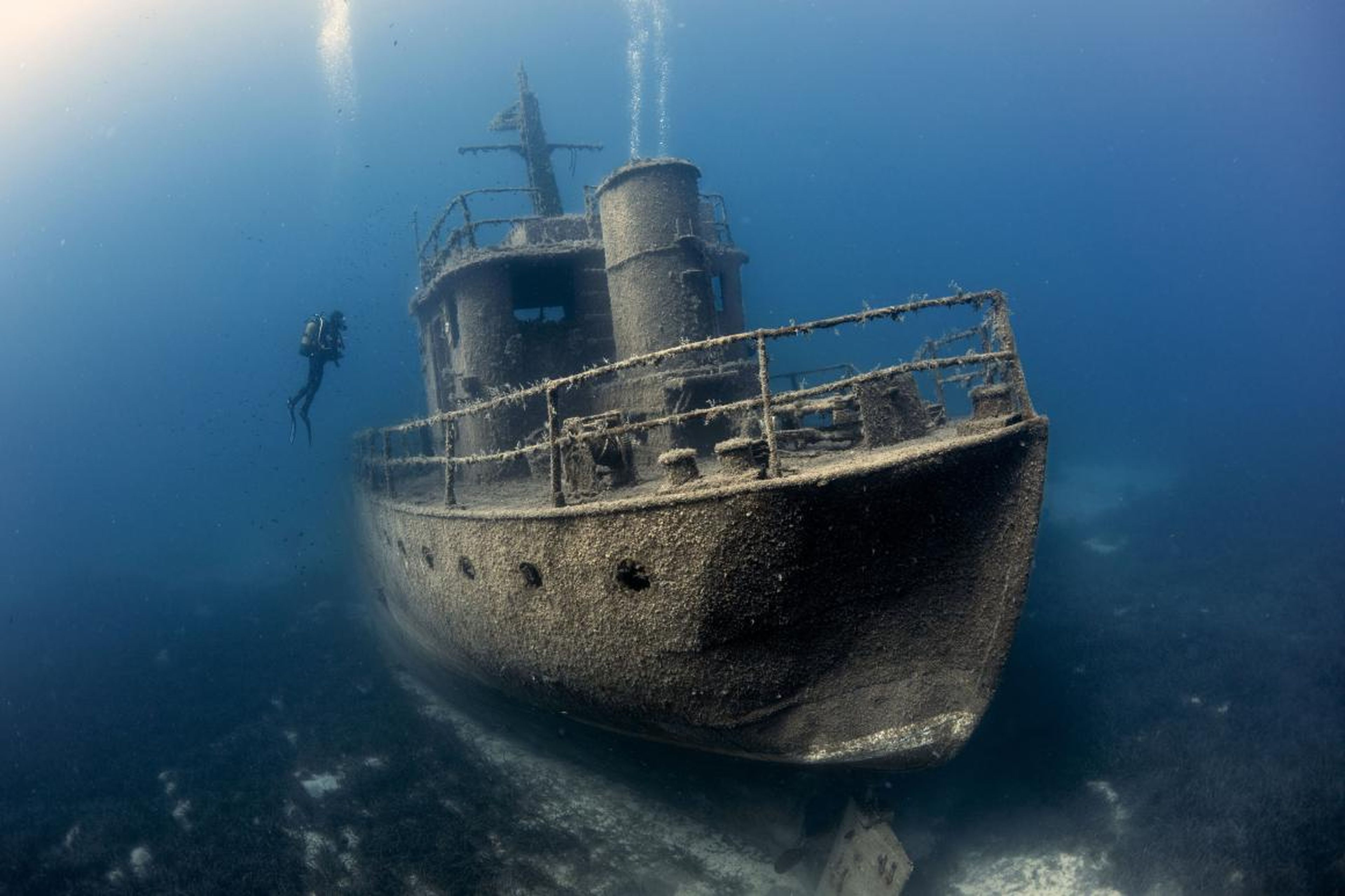 The contest isn't just about animals. Mehmet Öztabak won the "Wrecks" category with this photo of a diver exploring the Pinar 1 shipwreck in Bodrum, Turkey.