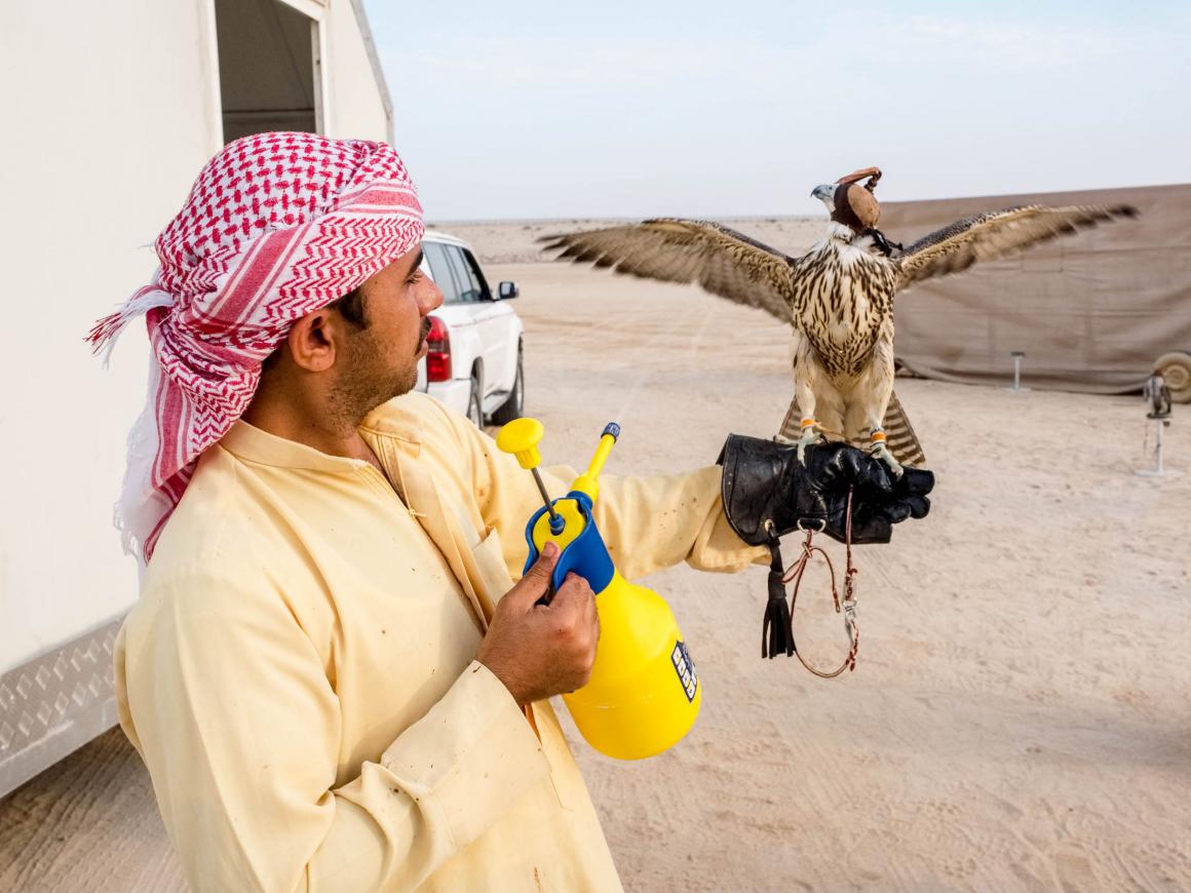 It was fascinating to watch the complex way that the falconers train their falcons to race at hundreds of miles an hour, using both modern and ancient techniques.