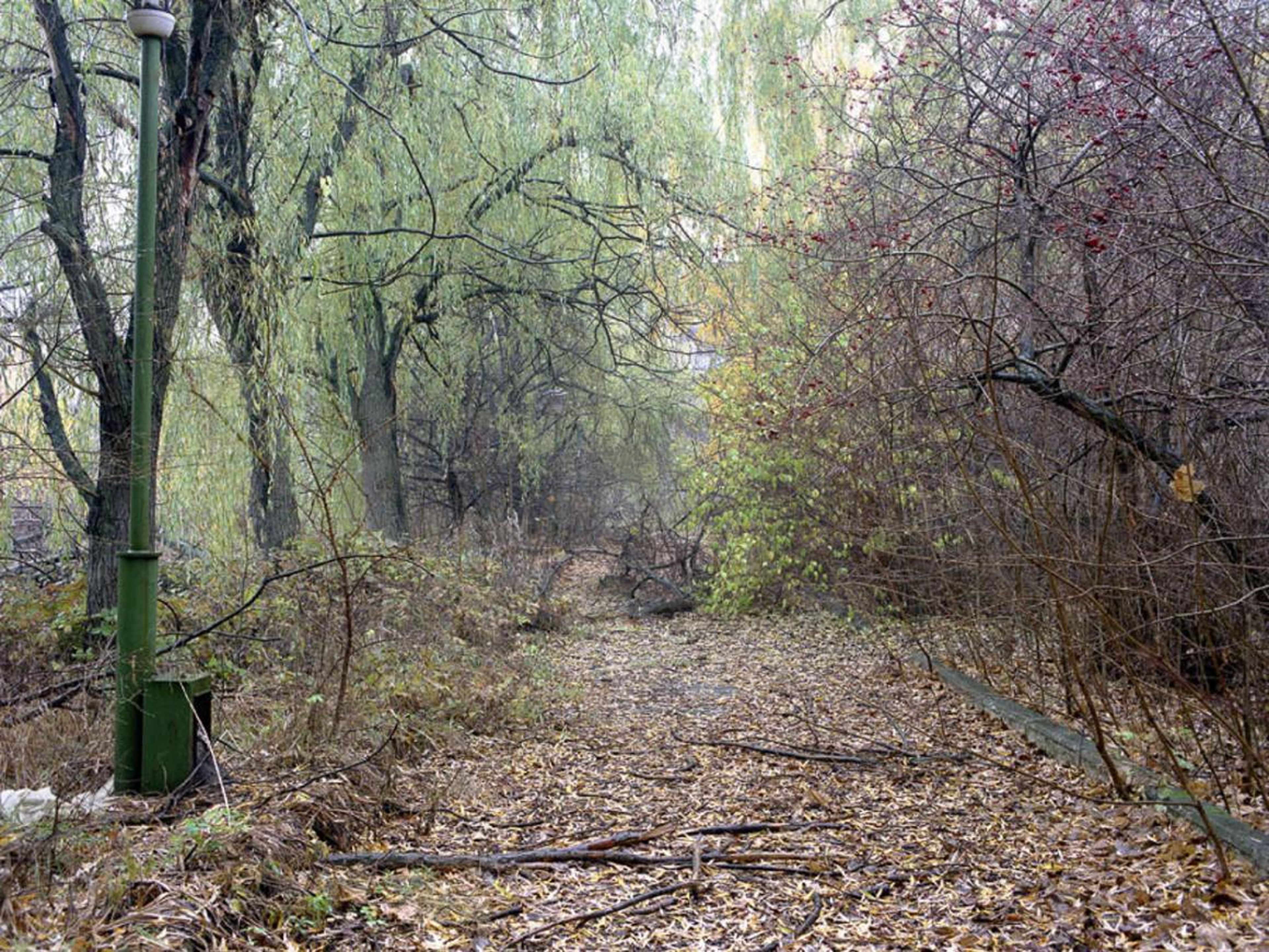 Camino en Pripyat, 1996.