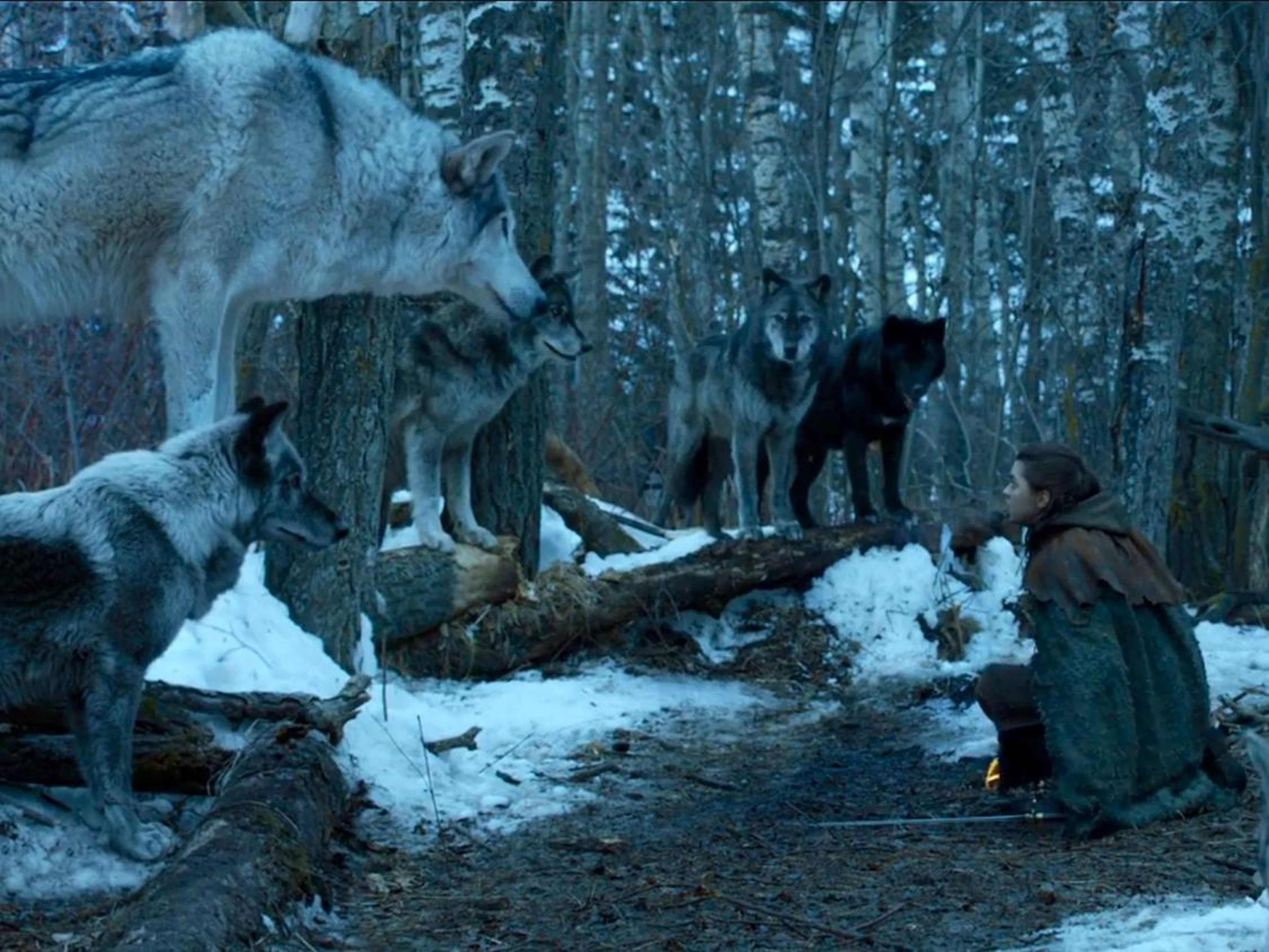 Arya and her direwolf, Nymeria.